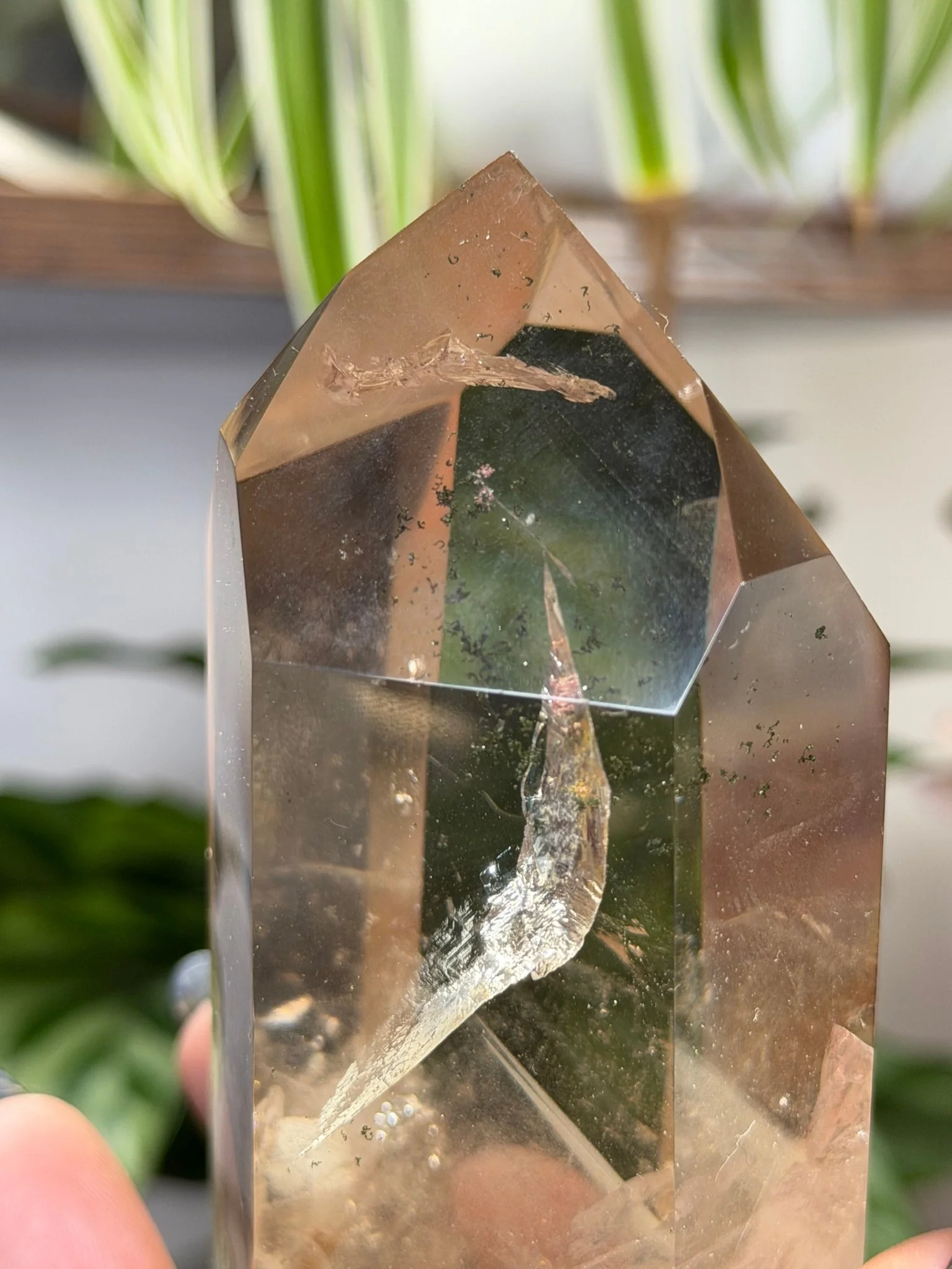 High Quality Natural Brazilian Champagne Citrine with Phanthon | 360g