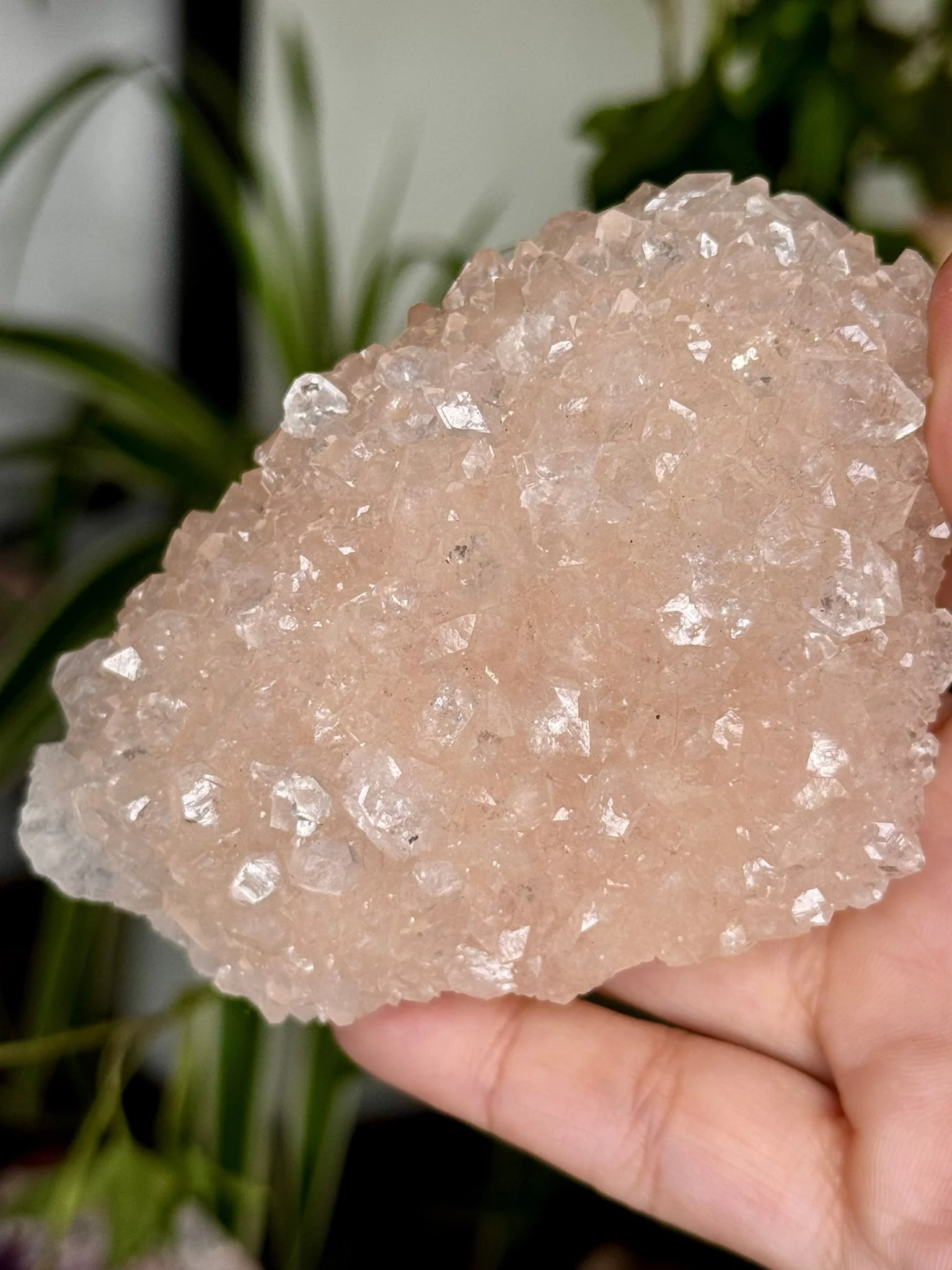 Pink Apophyllite Cluster | 129g