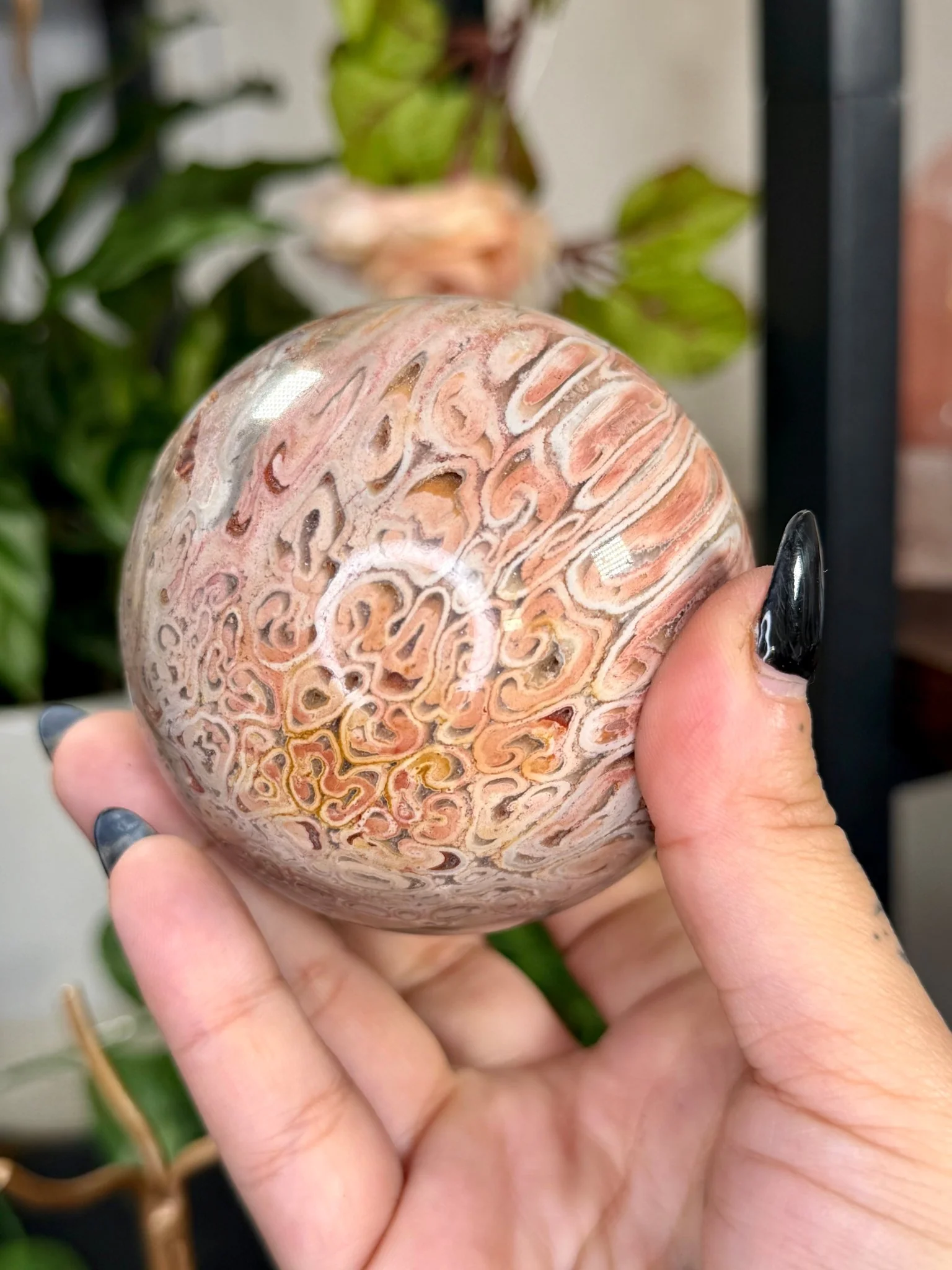 Petrified Wood Sphere | 478g