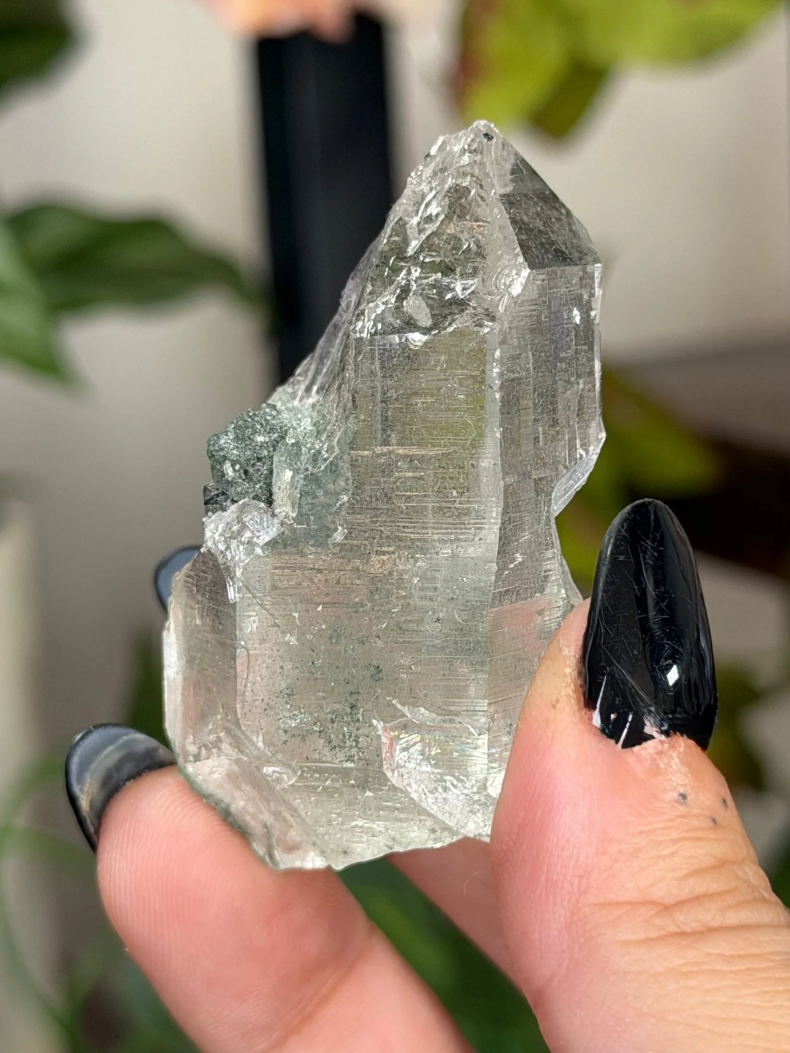 High Quality Himalayan Quartz with Chlorite Point | 49g