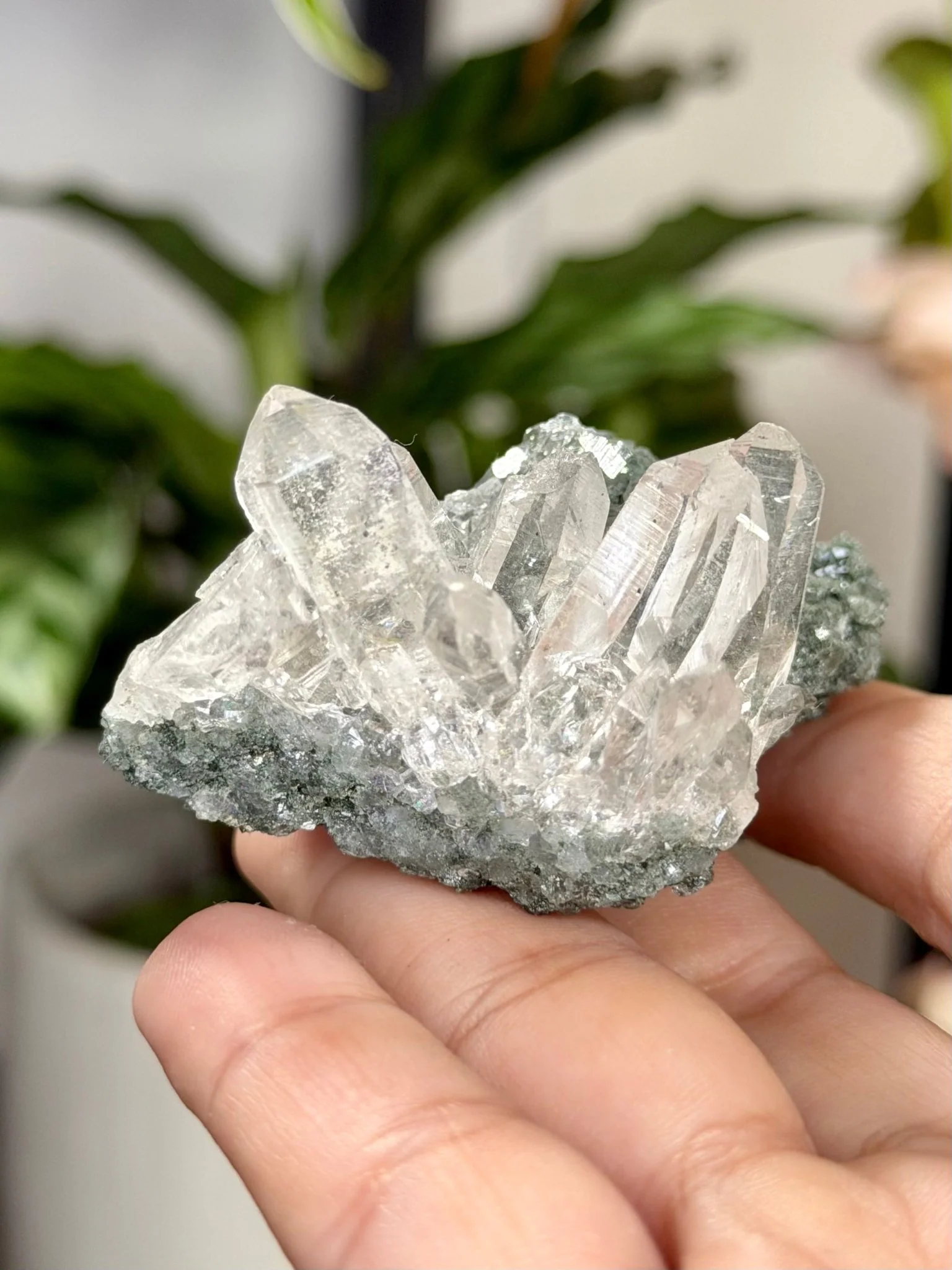High Quality Himalayan Quartz with Chlorite | 62g