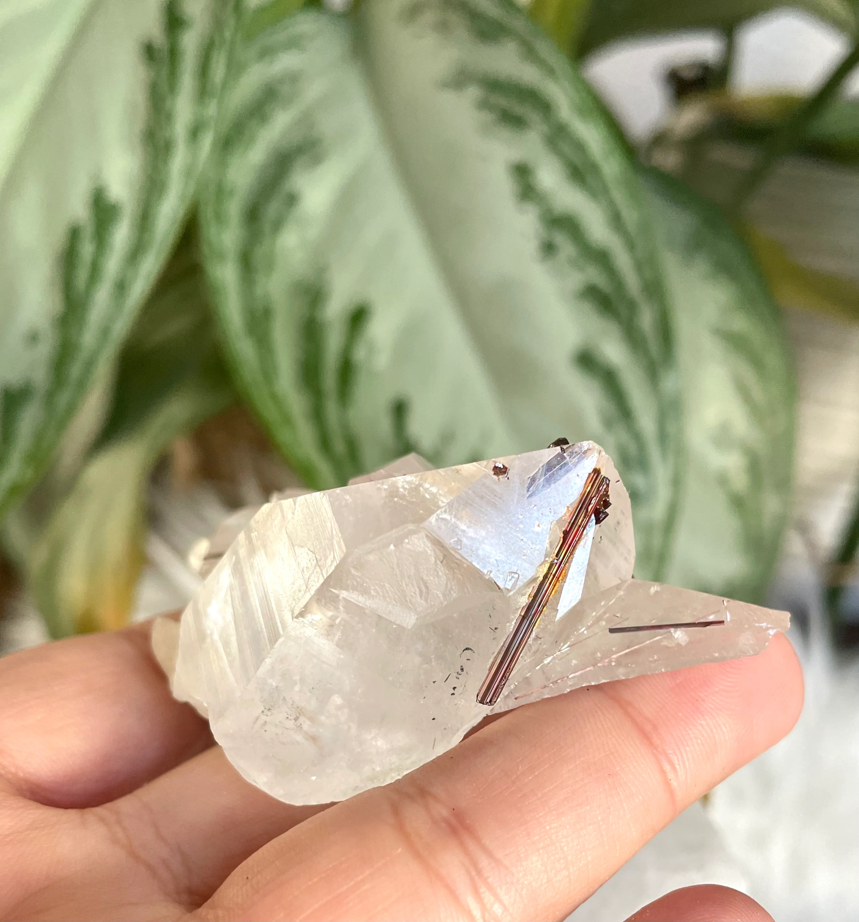 Clear Quartz Cluster Points with Copper Rutile | 185g