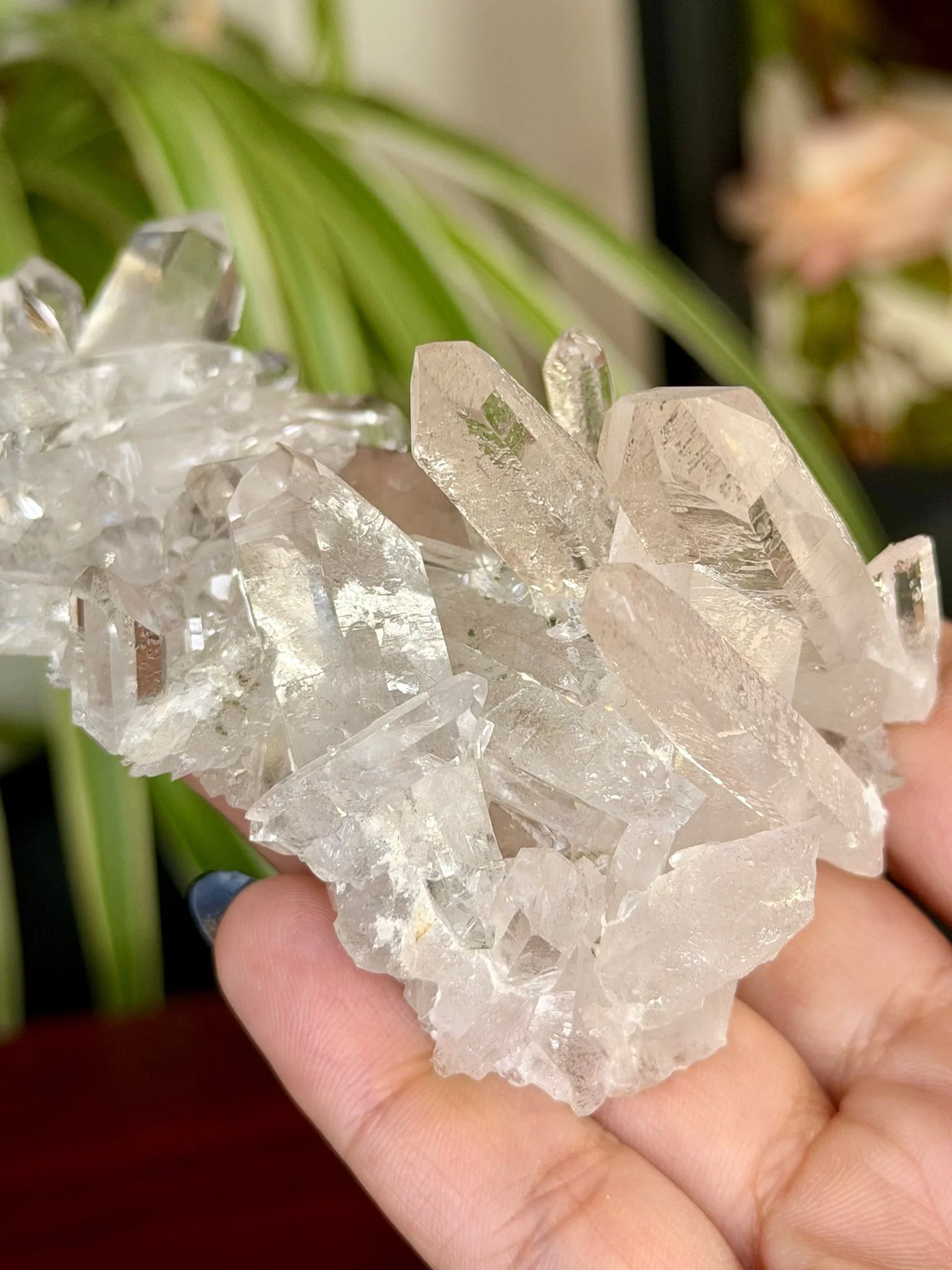 High Quality Clear Quartz Cluster |106g