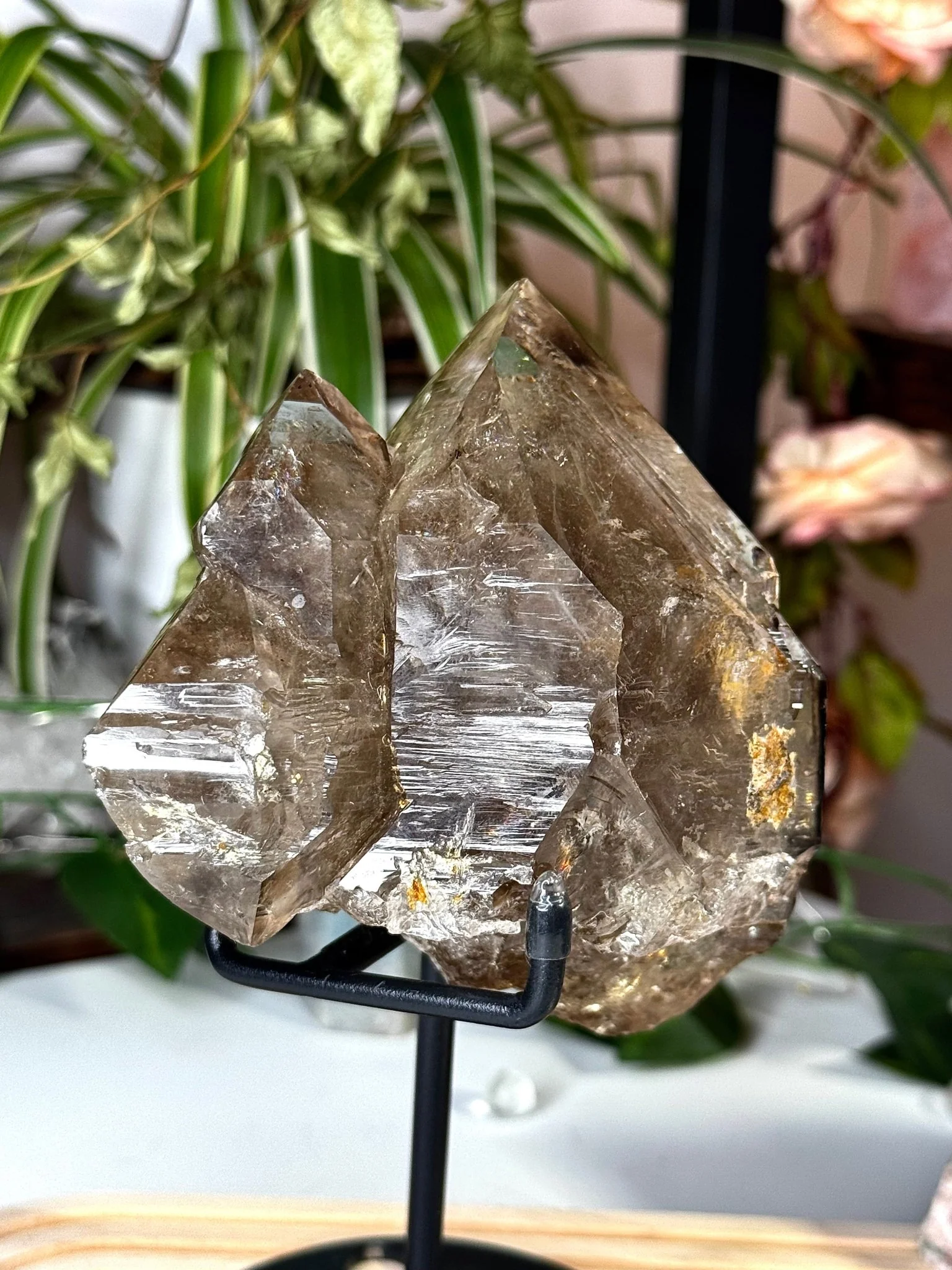 Statment Piece ~ Elestial Smokey Quartz | 575g