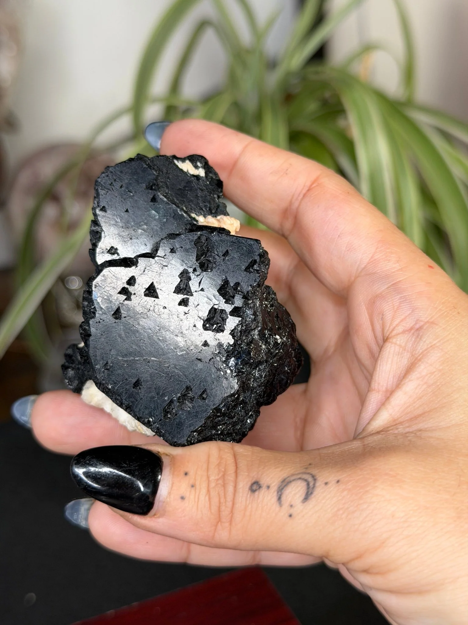 Record Keeper Tourmaline| 165g