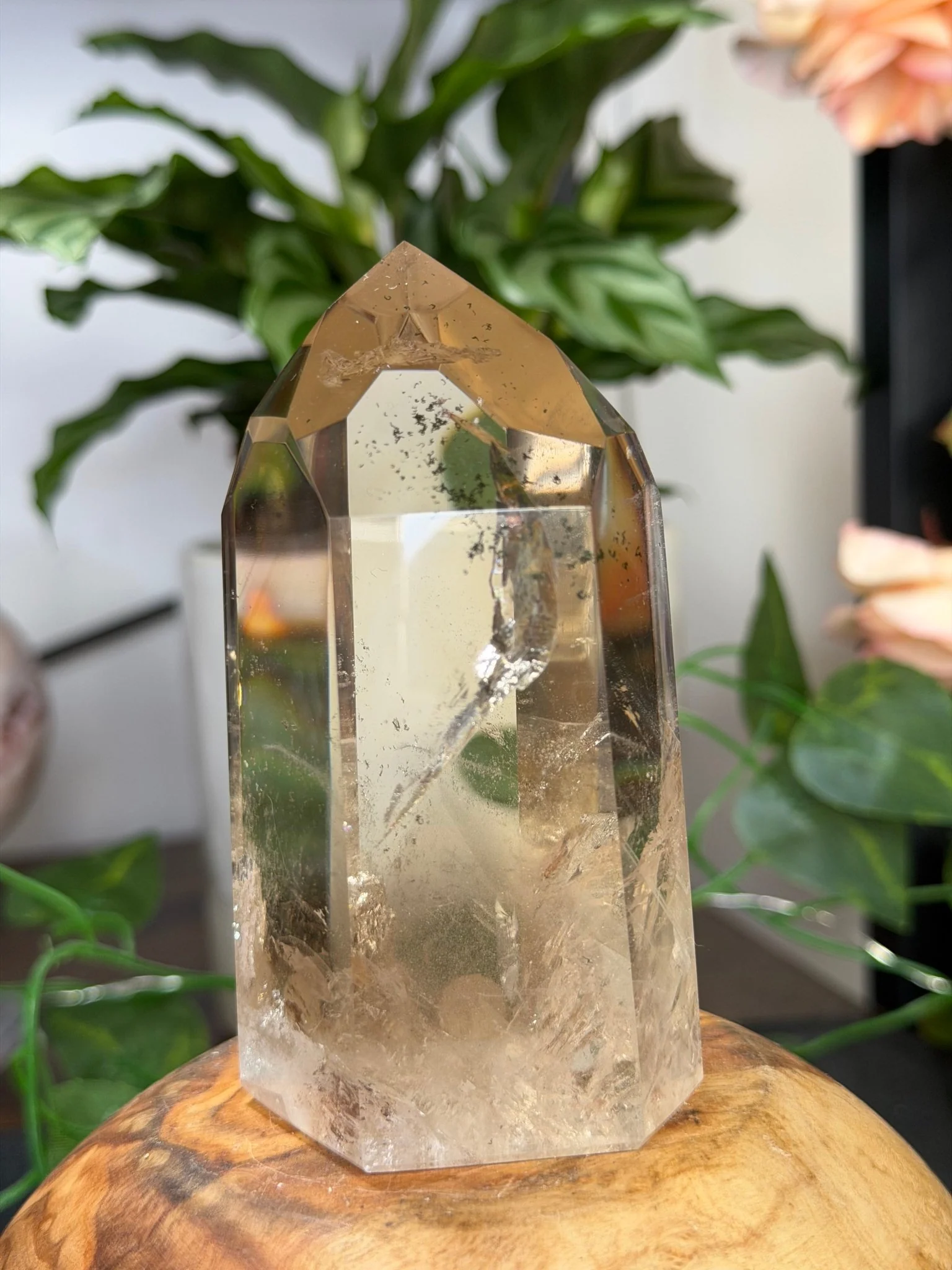 High Quality Natural Brazilian Champagne Citrine with Phanthon | 360g