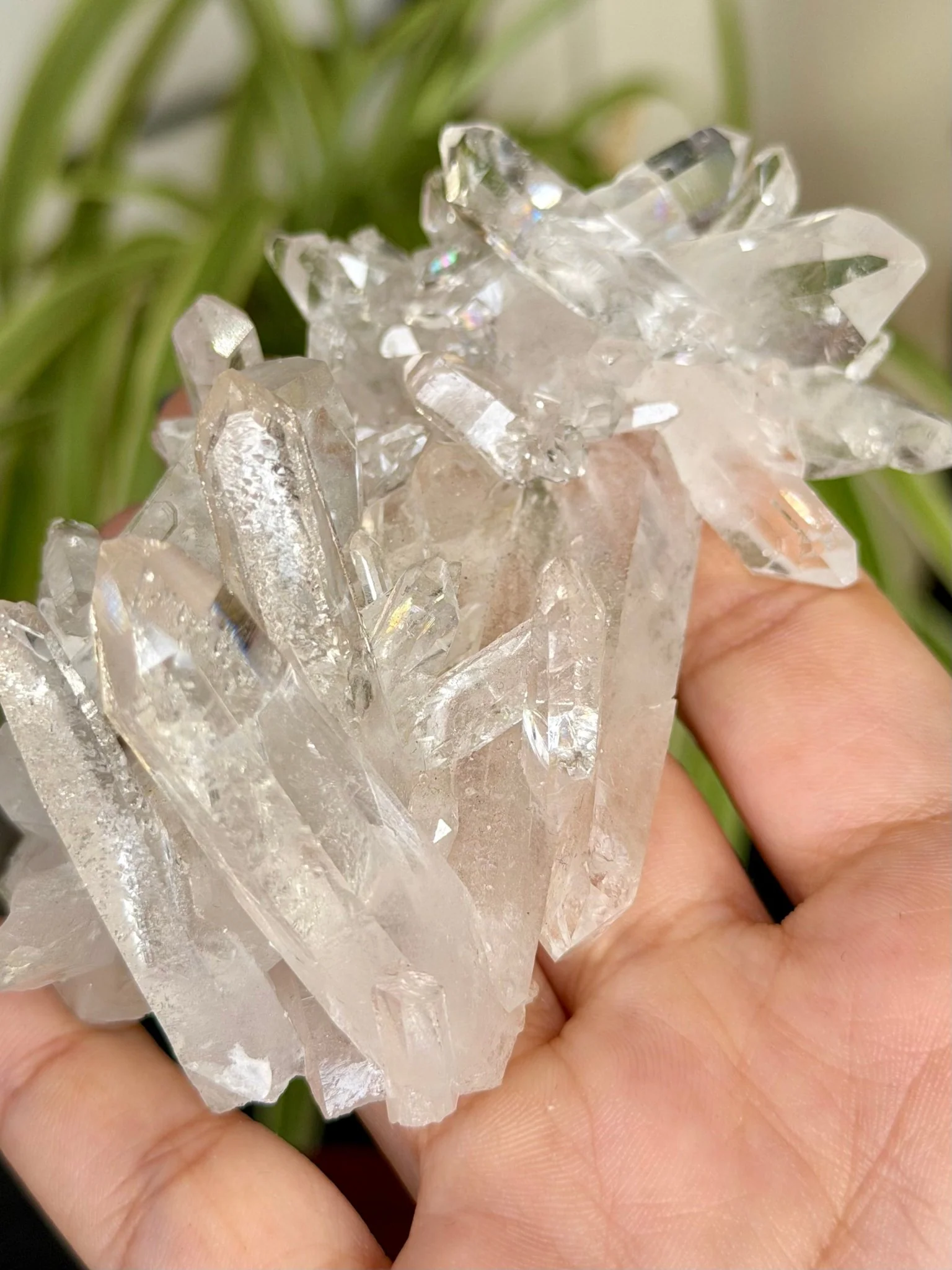 High Quality Clear Quartz Cluster |106g