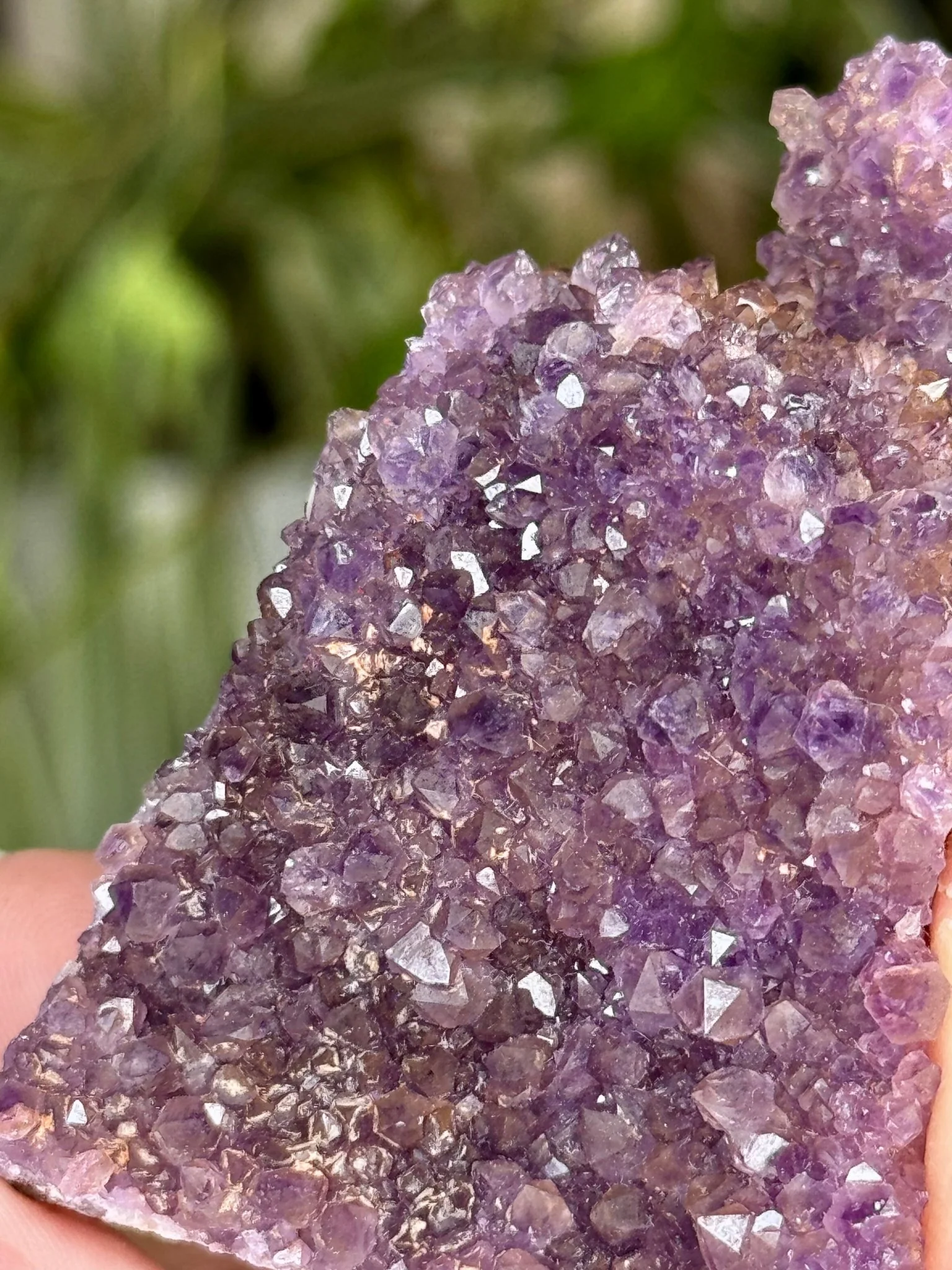 Alacam Amethyst Cluster | 55g
