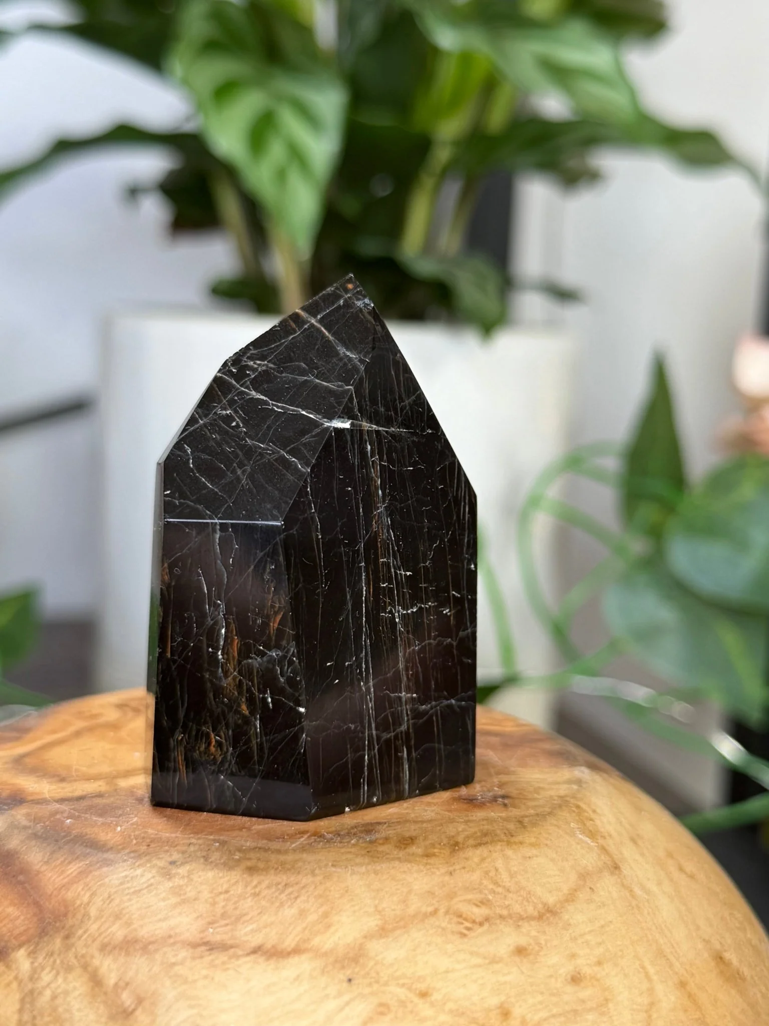 Black Tourmaline Tower with Hematite | 79g