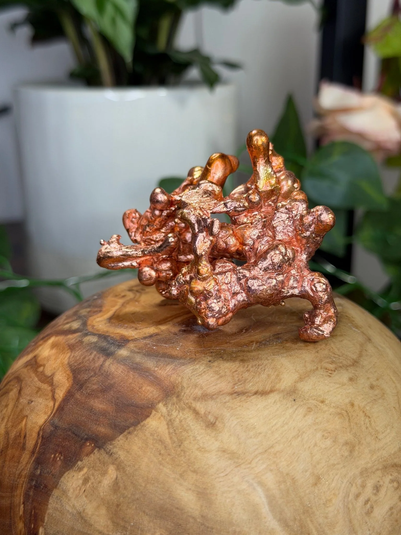 Sculpted Copper | 116g
