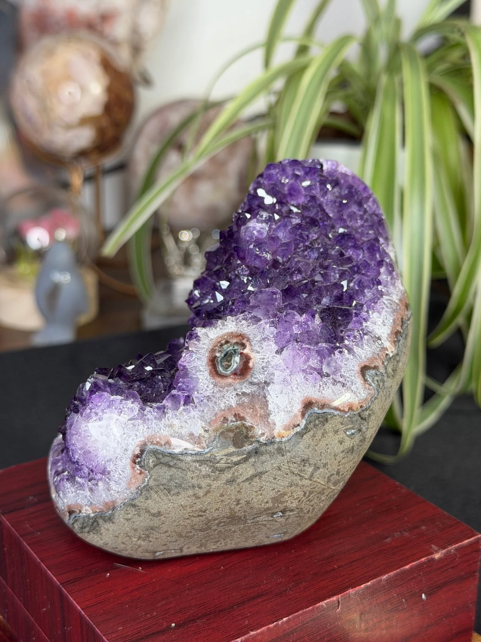 High Quality Amethyst | 704g