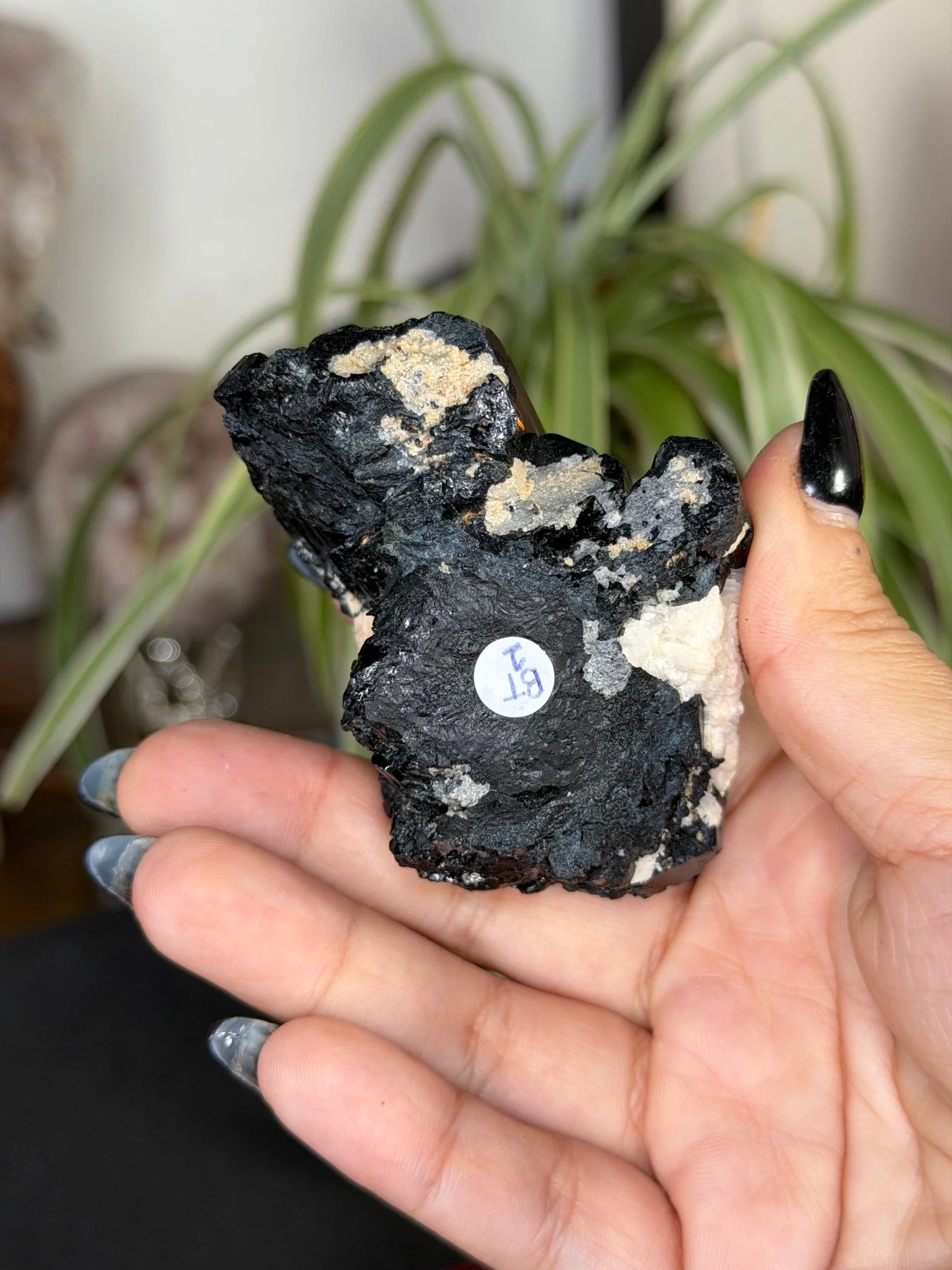 Record Keeper Tourmaline| 165g