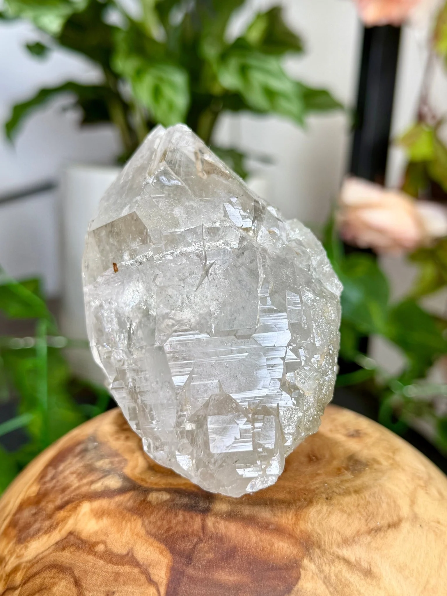 High Quality Himalayan Quartz with Chlorite | 292g