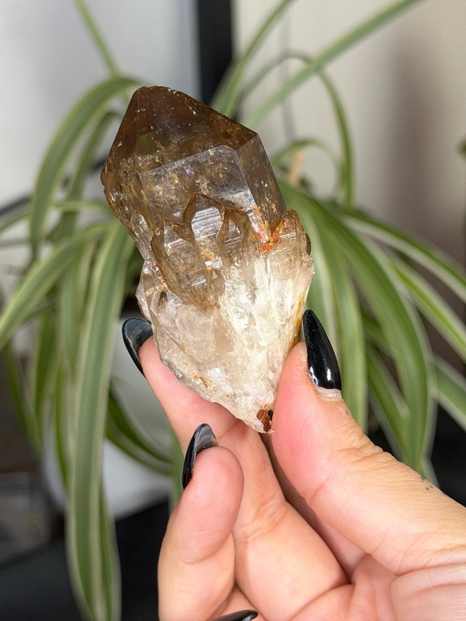 Natural Congo ('Kundalini) Citrine | 86g