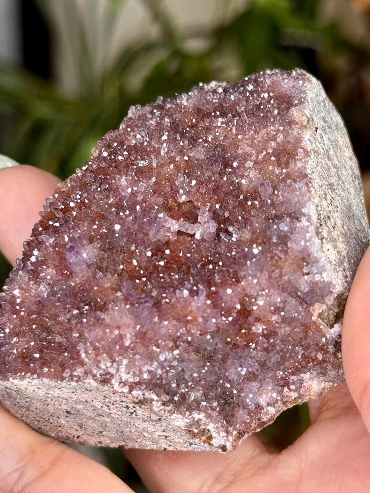 Alacam Amethyst Cluster | 100g