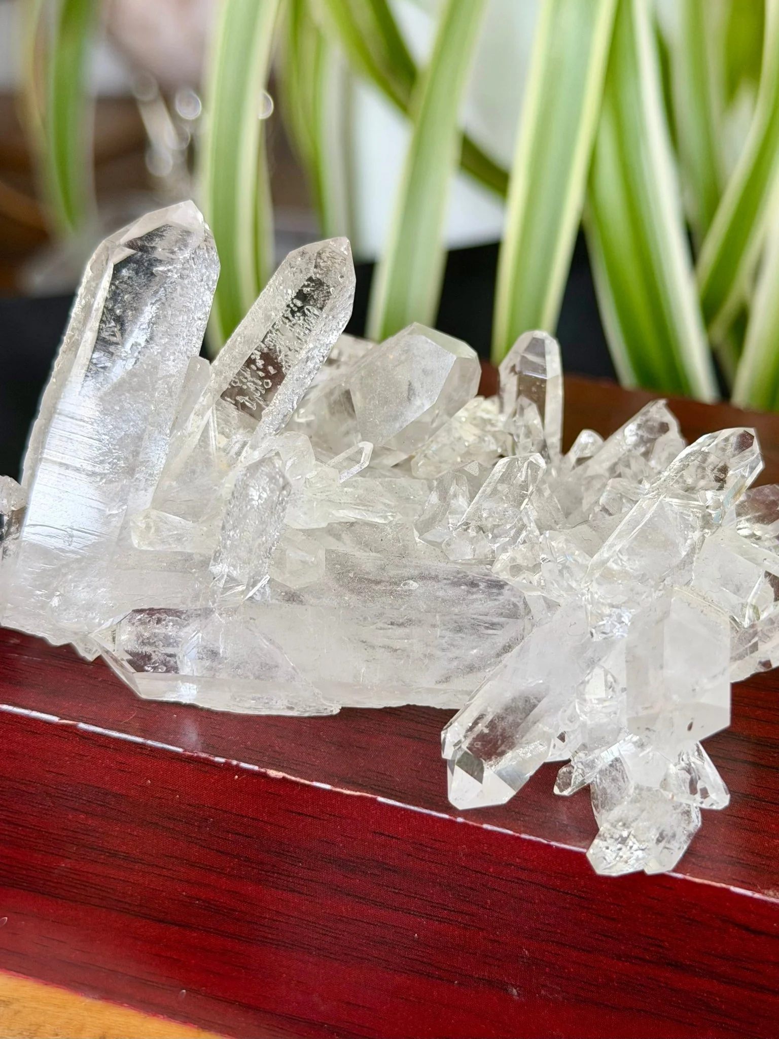 High Quality Clear Quartz Cluster |106g