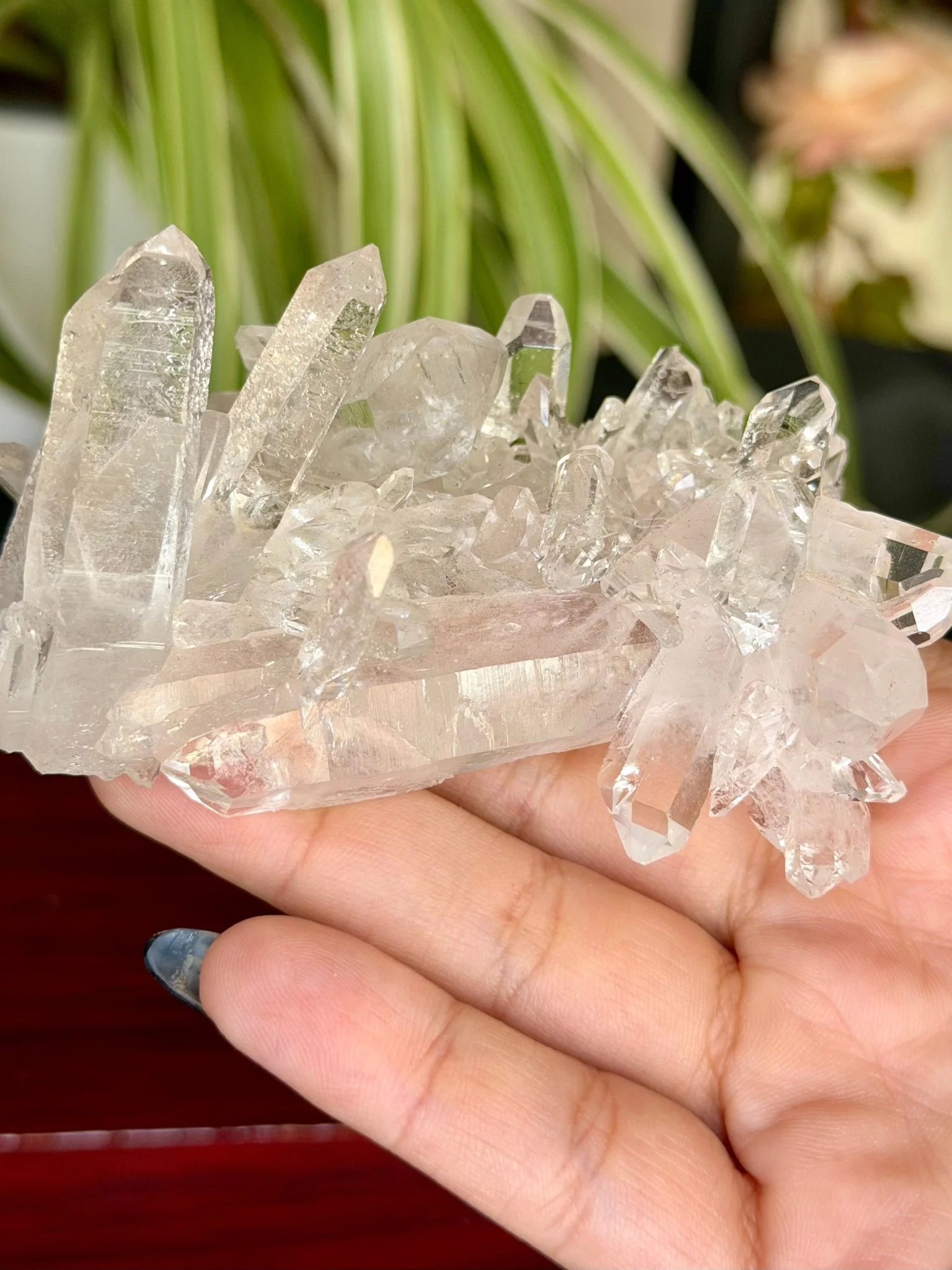 High Quality Clear Quartz Cluster |106g