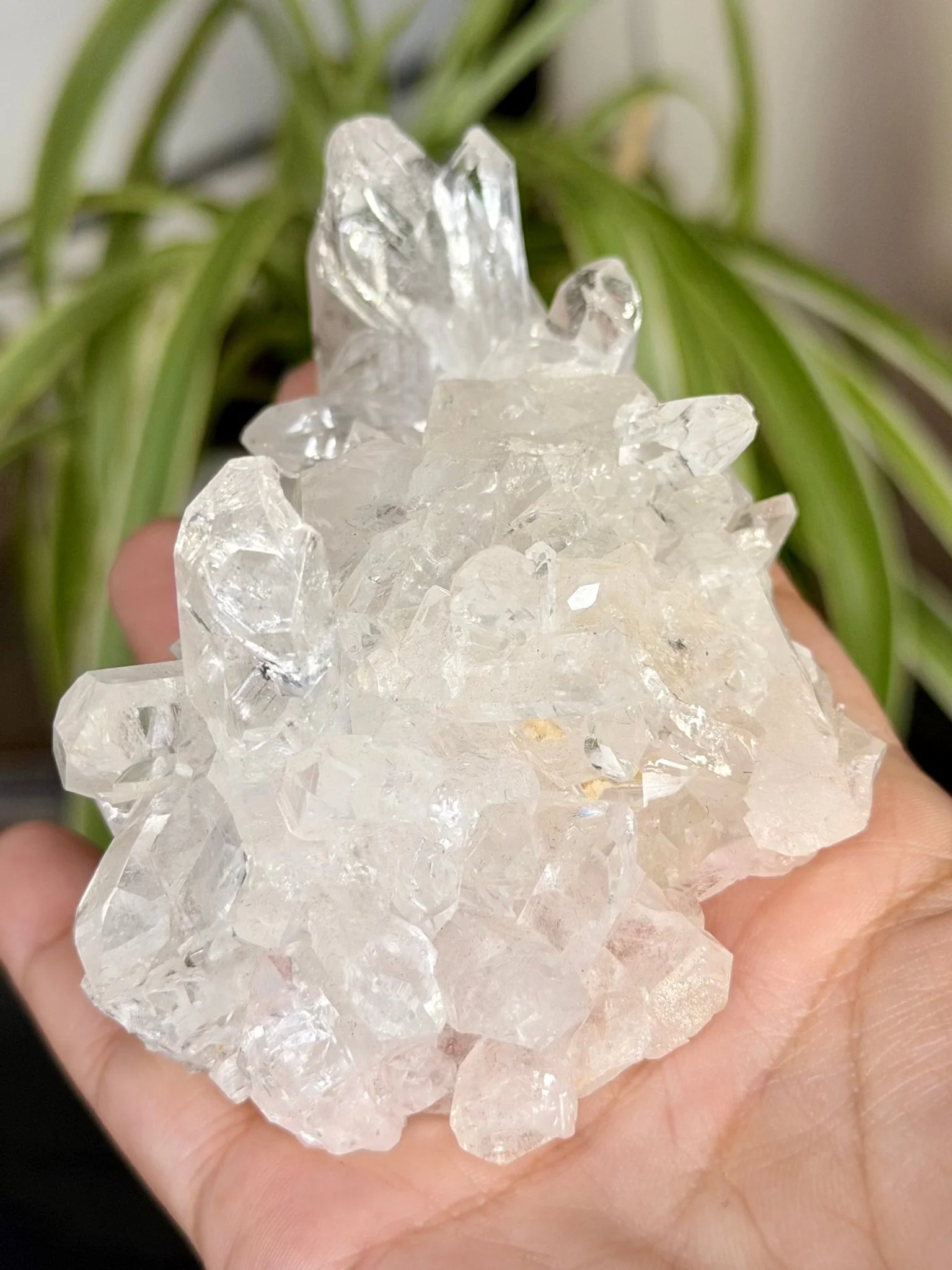 Clear Quartz Cluster |196g