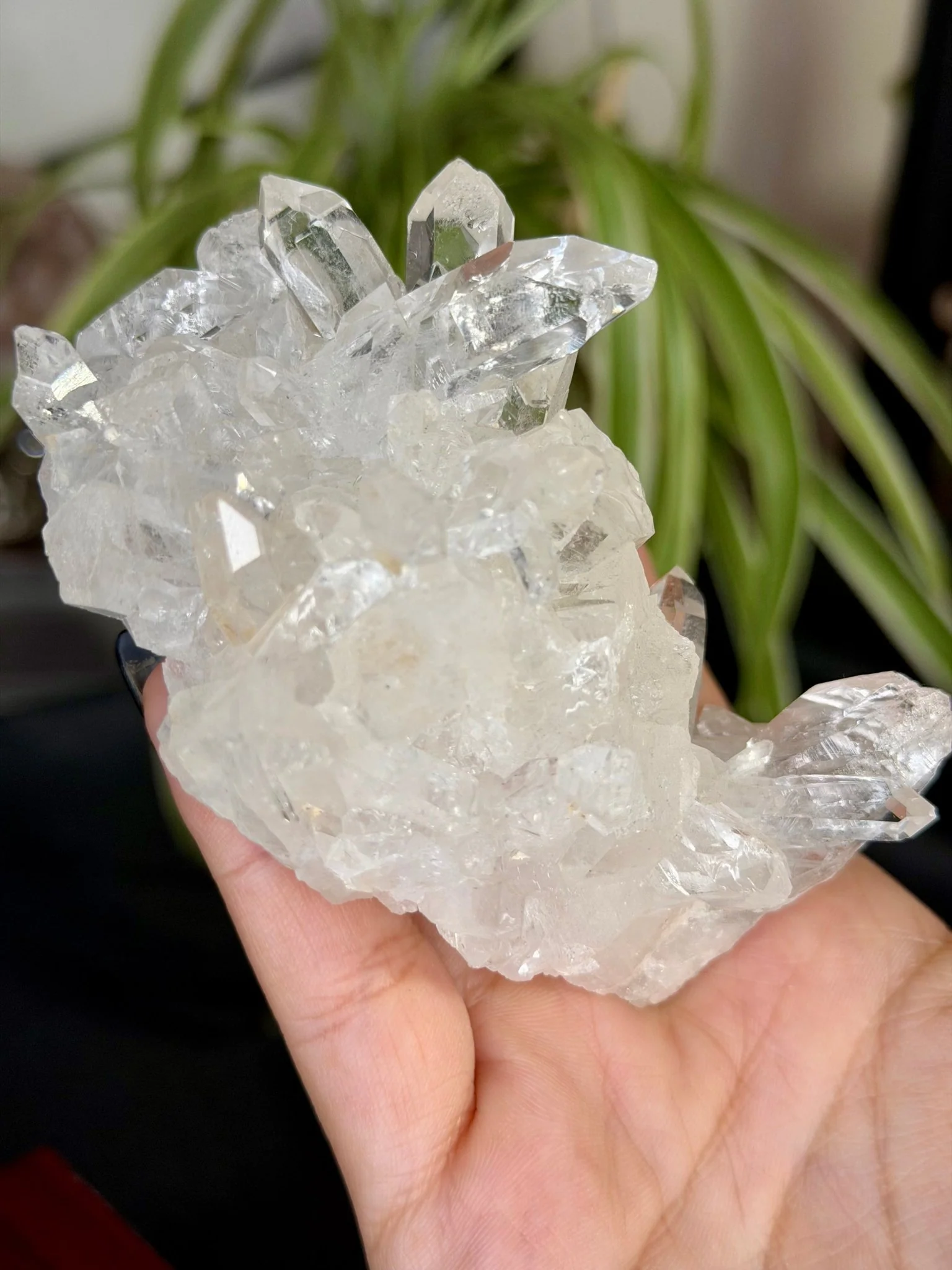 Clear Quartz Cluster |196g