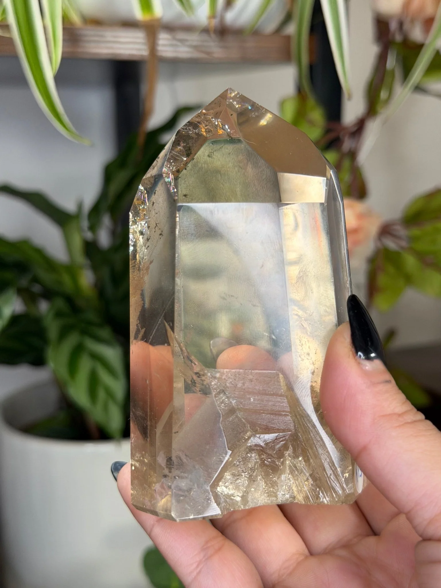 High Quality Natural Brazilian Champagne Citrine with Phanthon | 360g