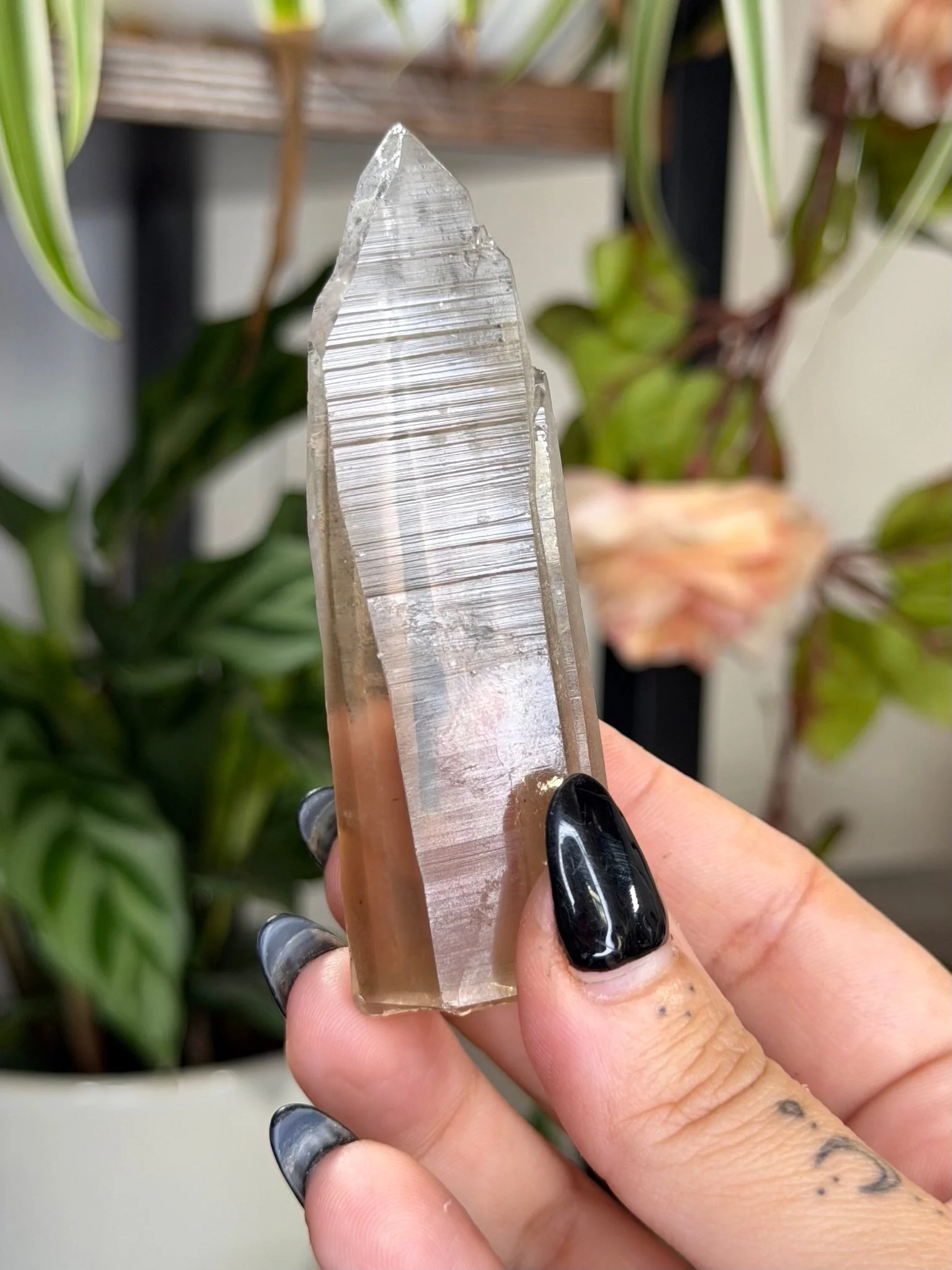 Smokey Serra do Cabral Cathedral Lemurian quartz | 68g