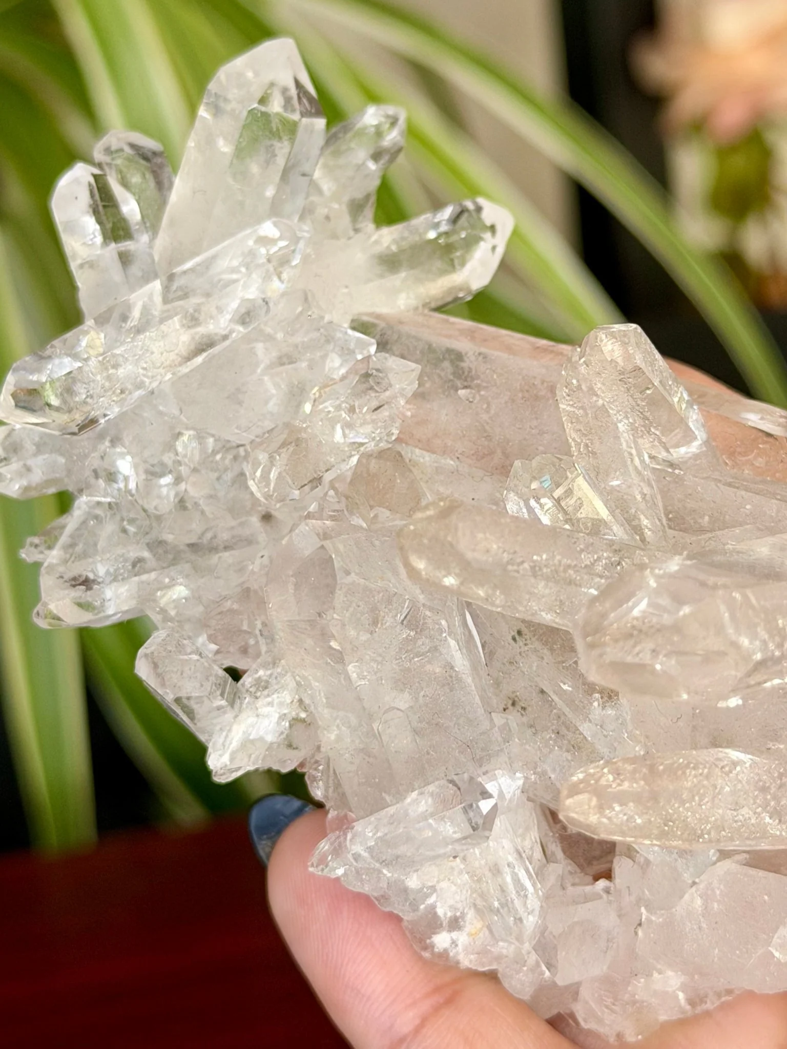 High Quality Clear Quartz Cluster |106g