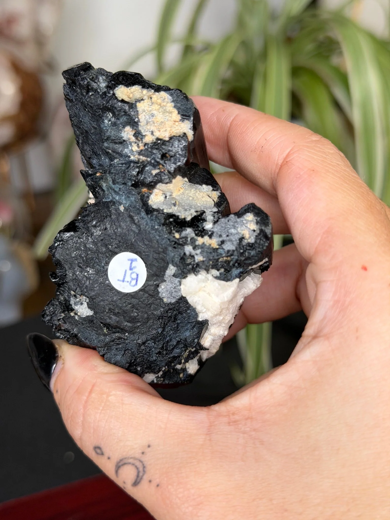 Record Keeper Tourmaline| 165g