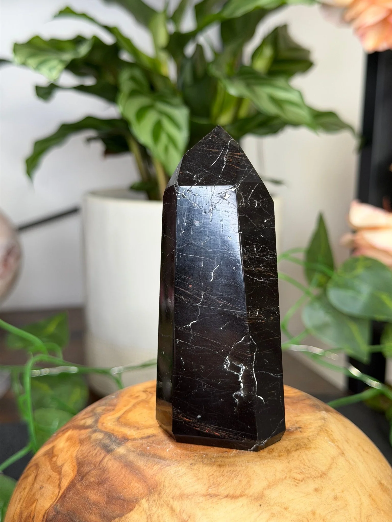 Black Tourmaline Tower with Hematite  | 111g