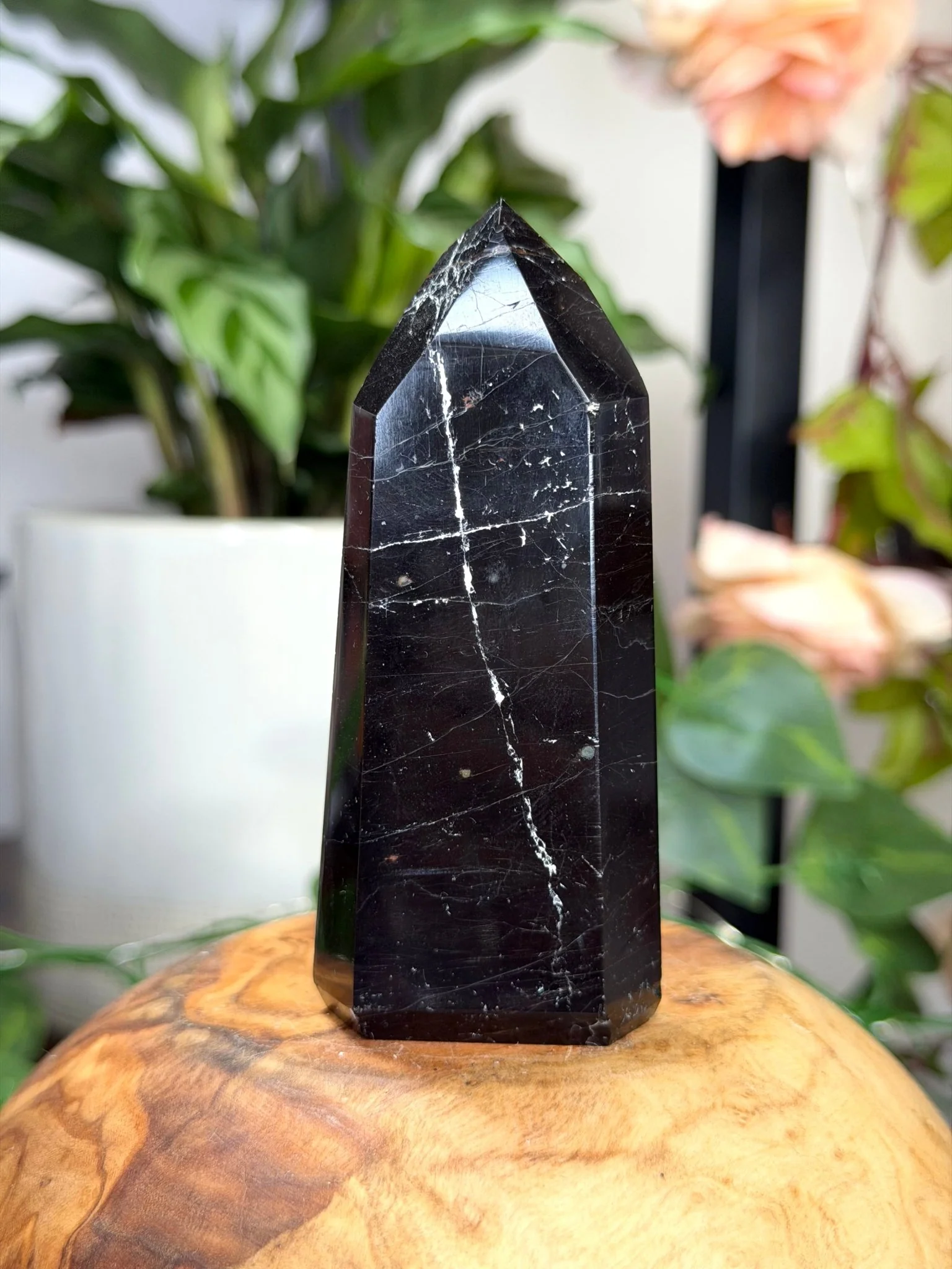 Black Tourmaline Tower with Hematite  | 111g