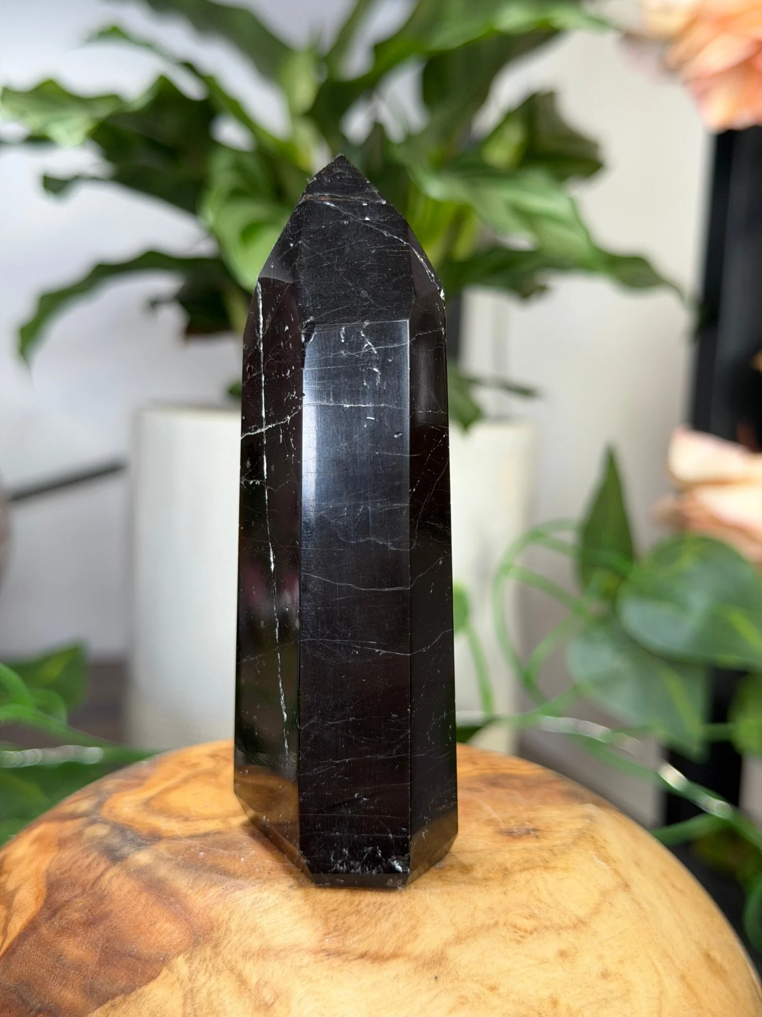 Black Tourmaline Tower with Hematite  | 111g