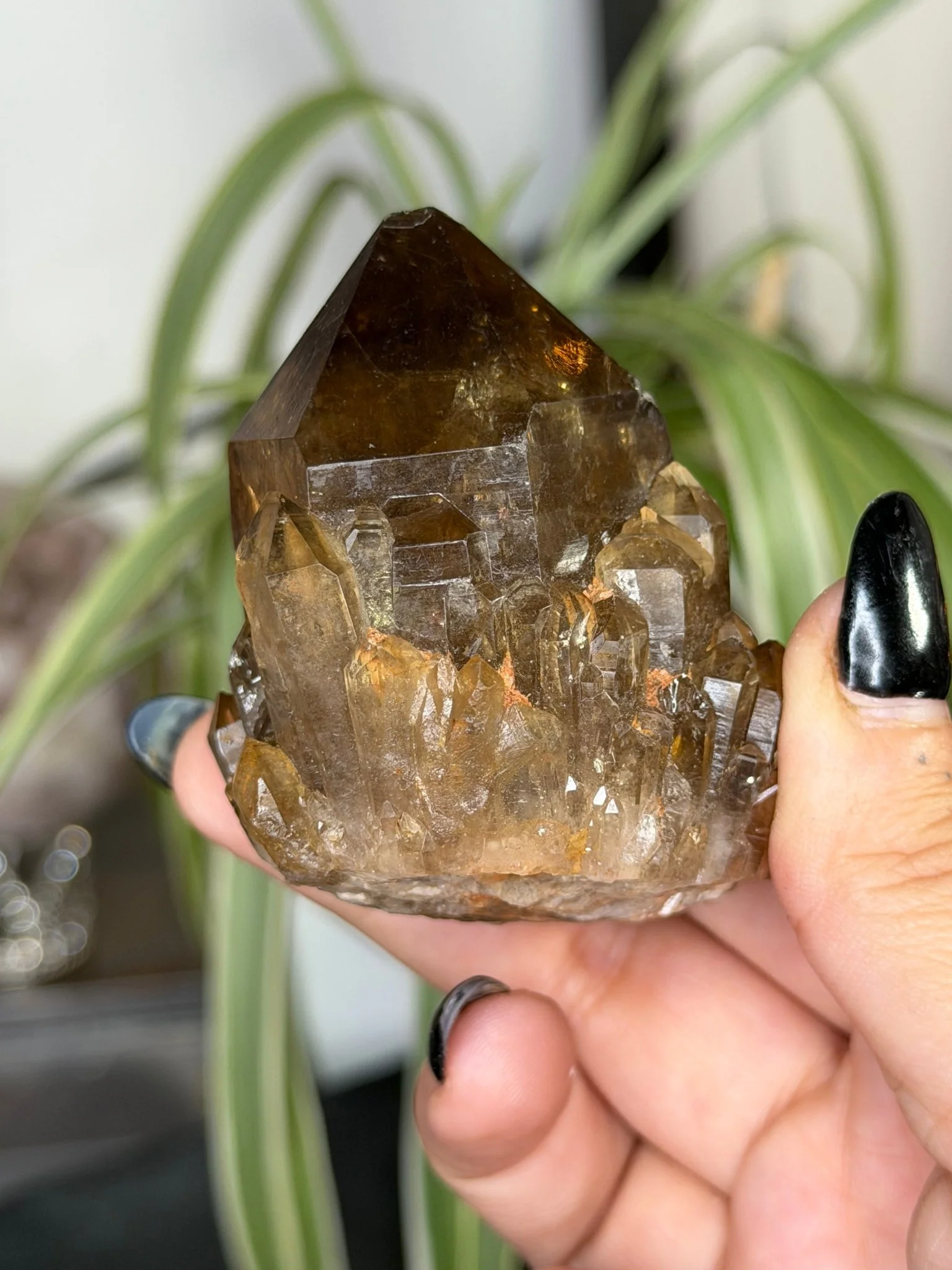 Natural Congo ('Kundalini) Citrine | 129g