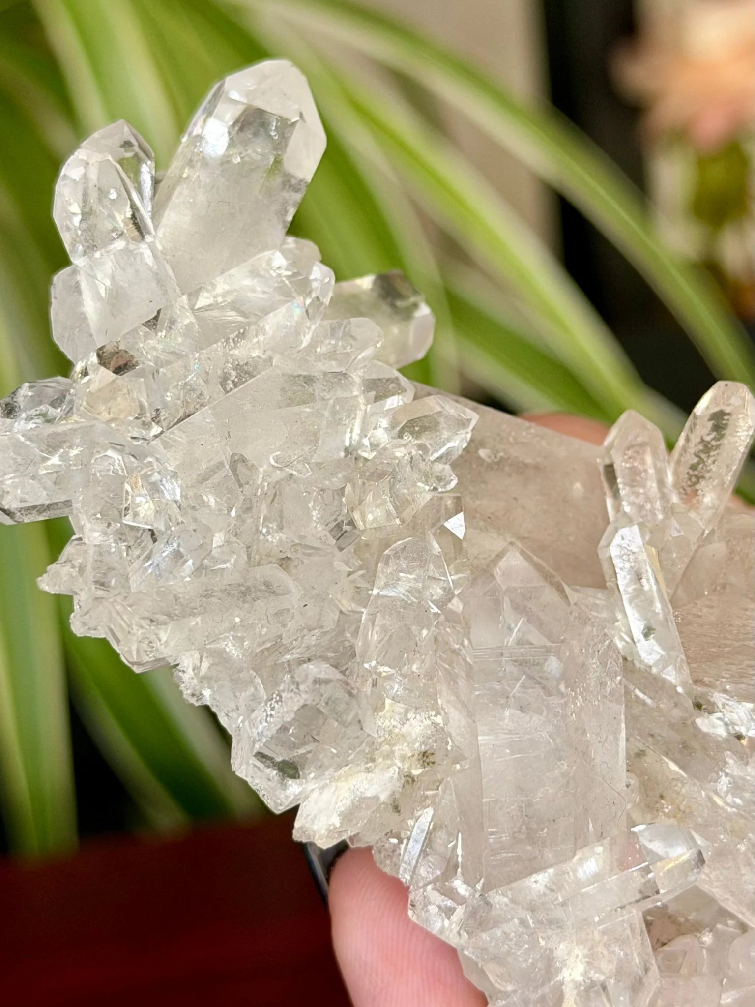 High Quality Clear Quartz Cluster |106g