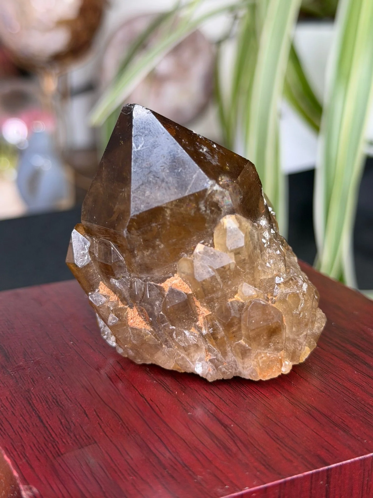 Natural Congo ('Kundalini) Citrine | 129g