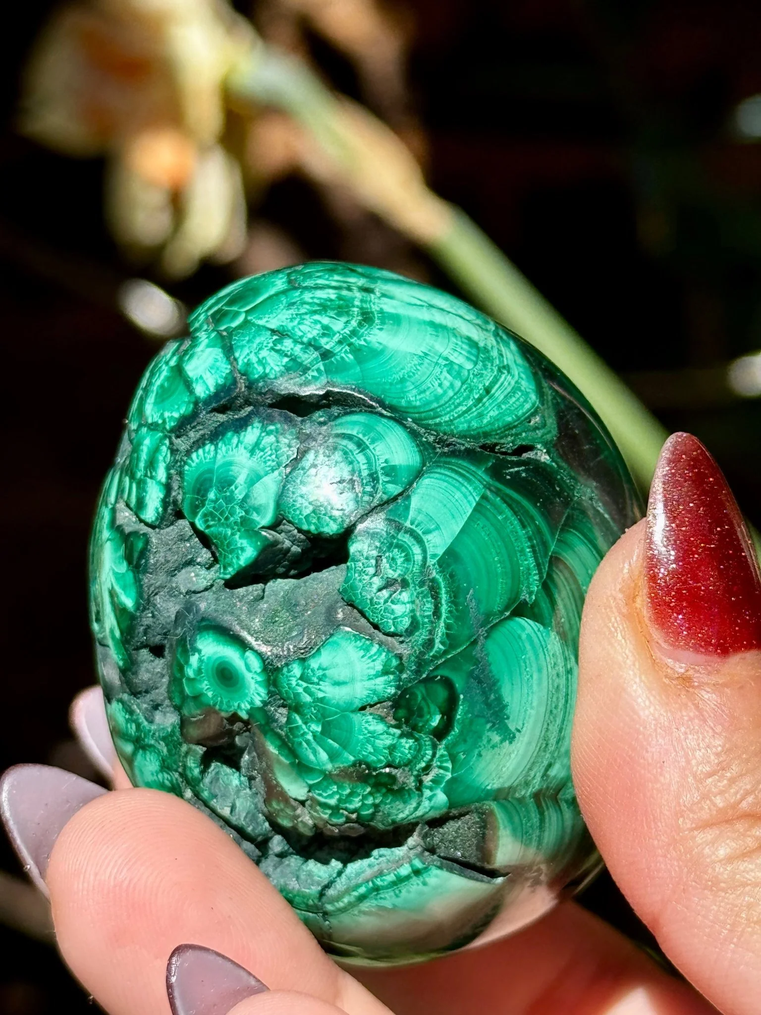 Malachite egg | 178g