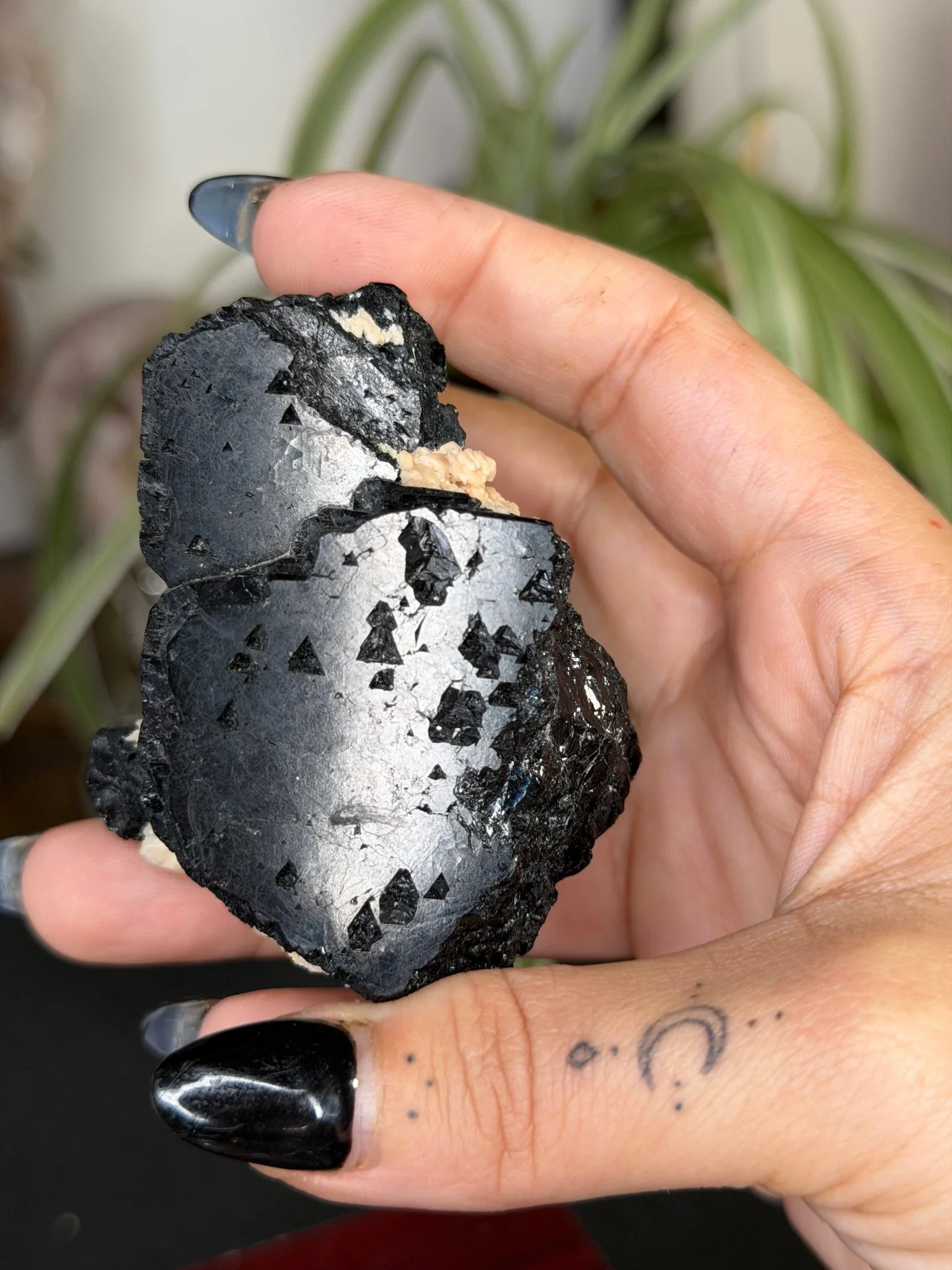 Record Keeper Tourmaline| 165g