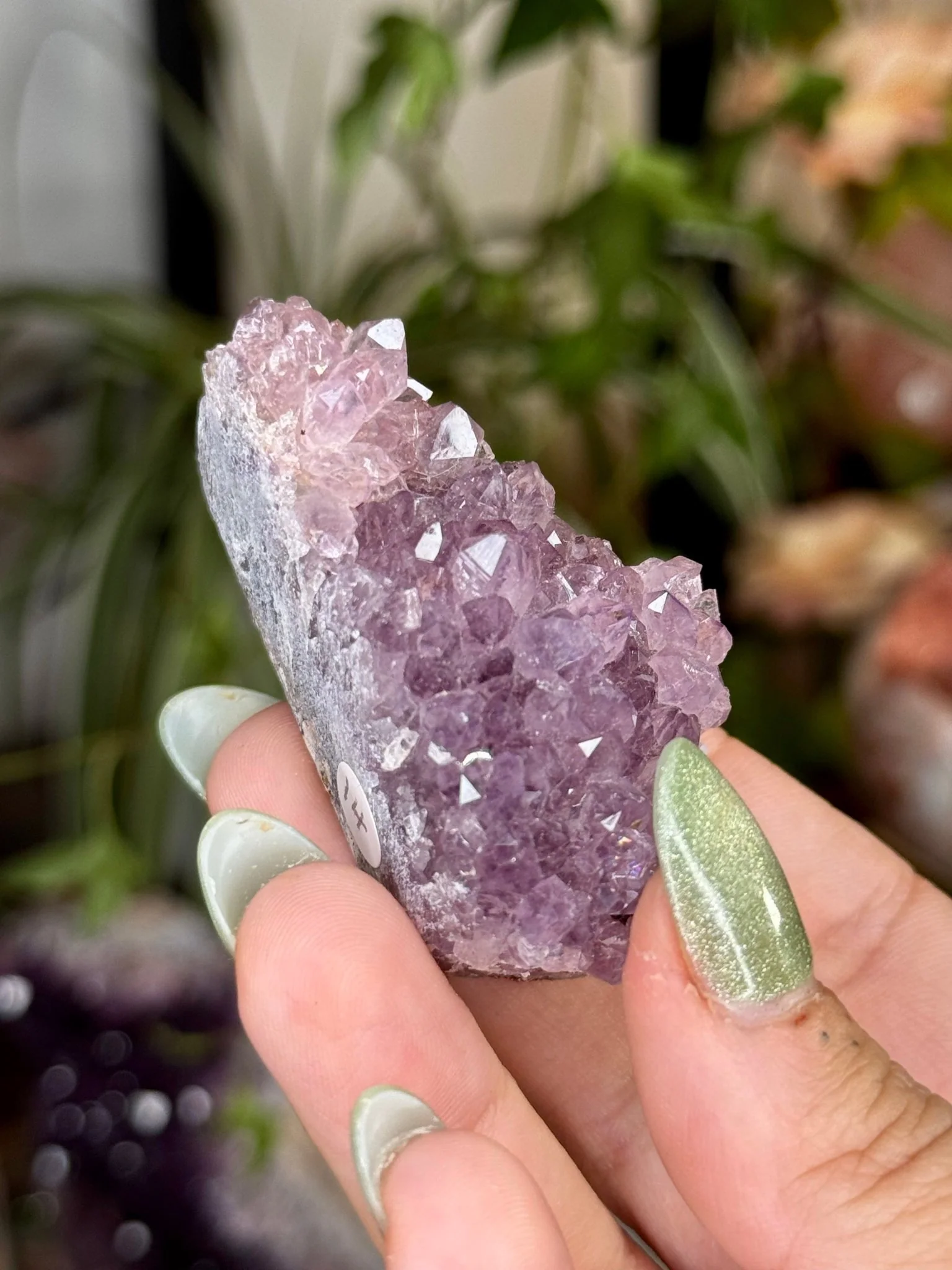 Alacam Amethyst Cluster | 49g