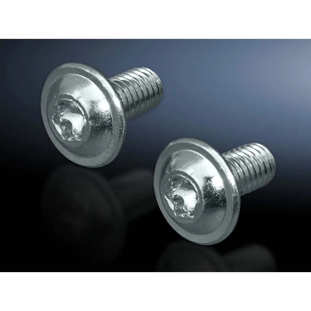 Rittal 2504500 SZ TORNILLO TIPO TORX M6X12MM-300 P.