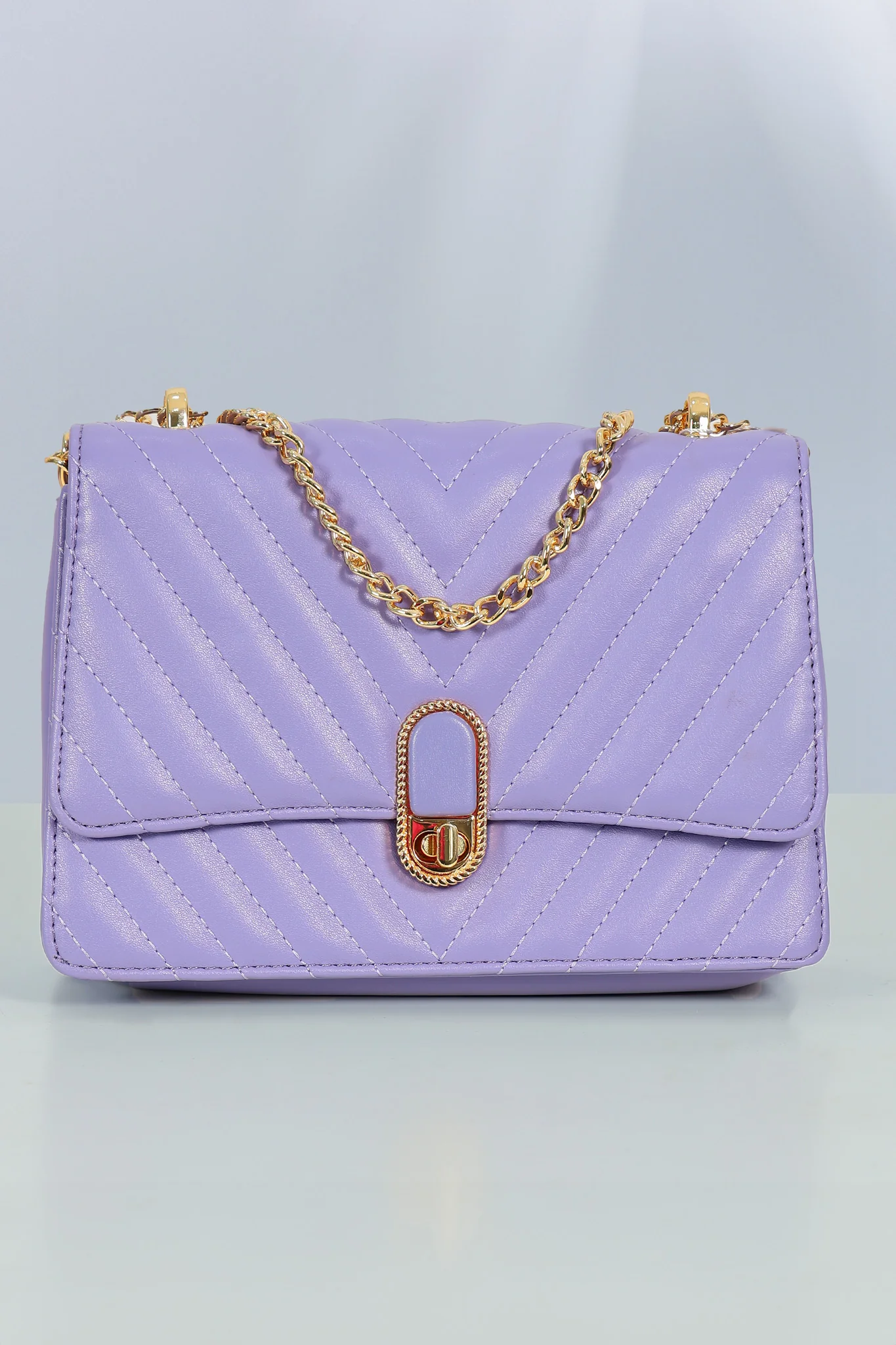 Chic Chain Leather Bag