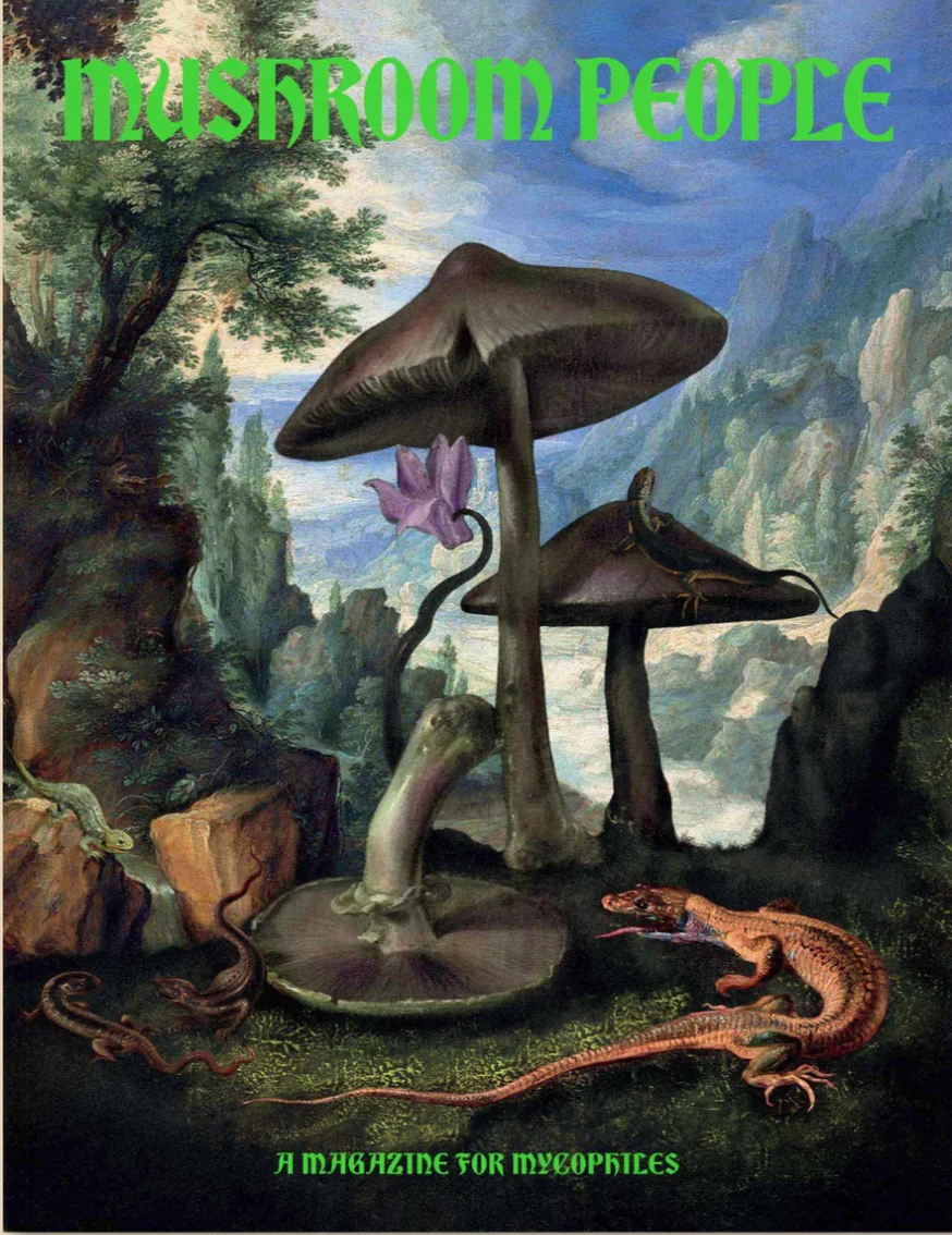 Mushroom People n.1