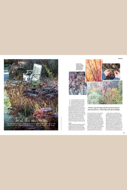 The Simple Thing n.161