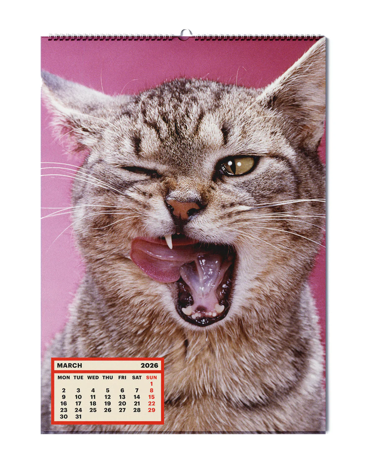 Toiletpaper calendar 2025