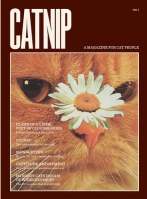 Catnip n.1