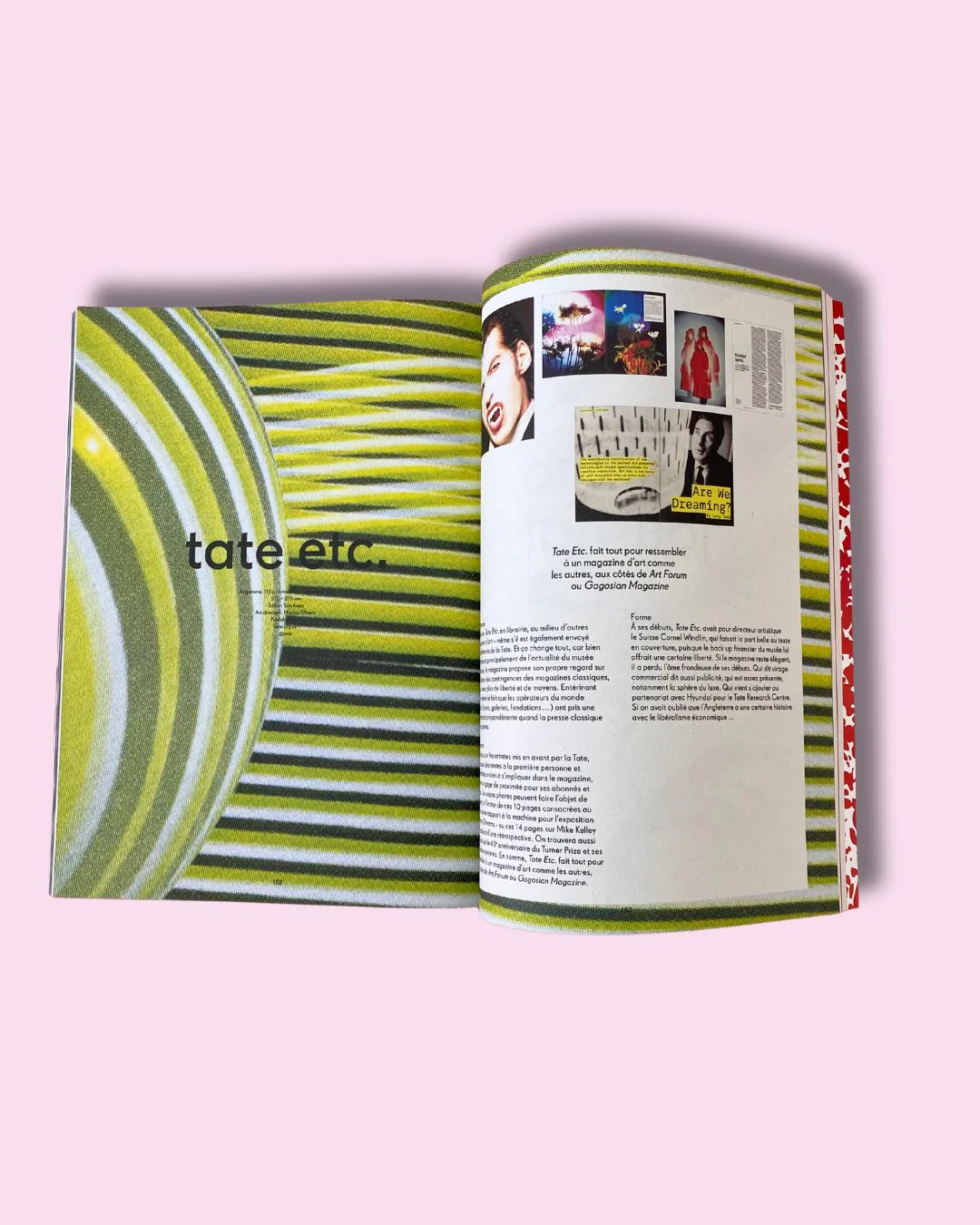 Magazine magazine n.43