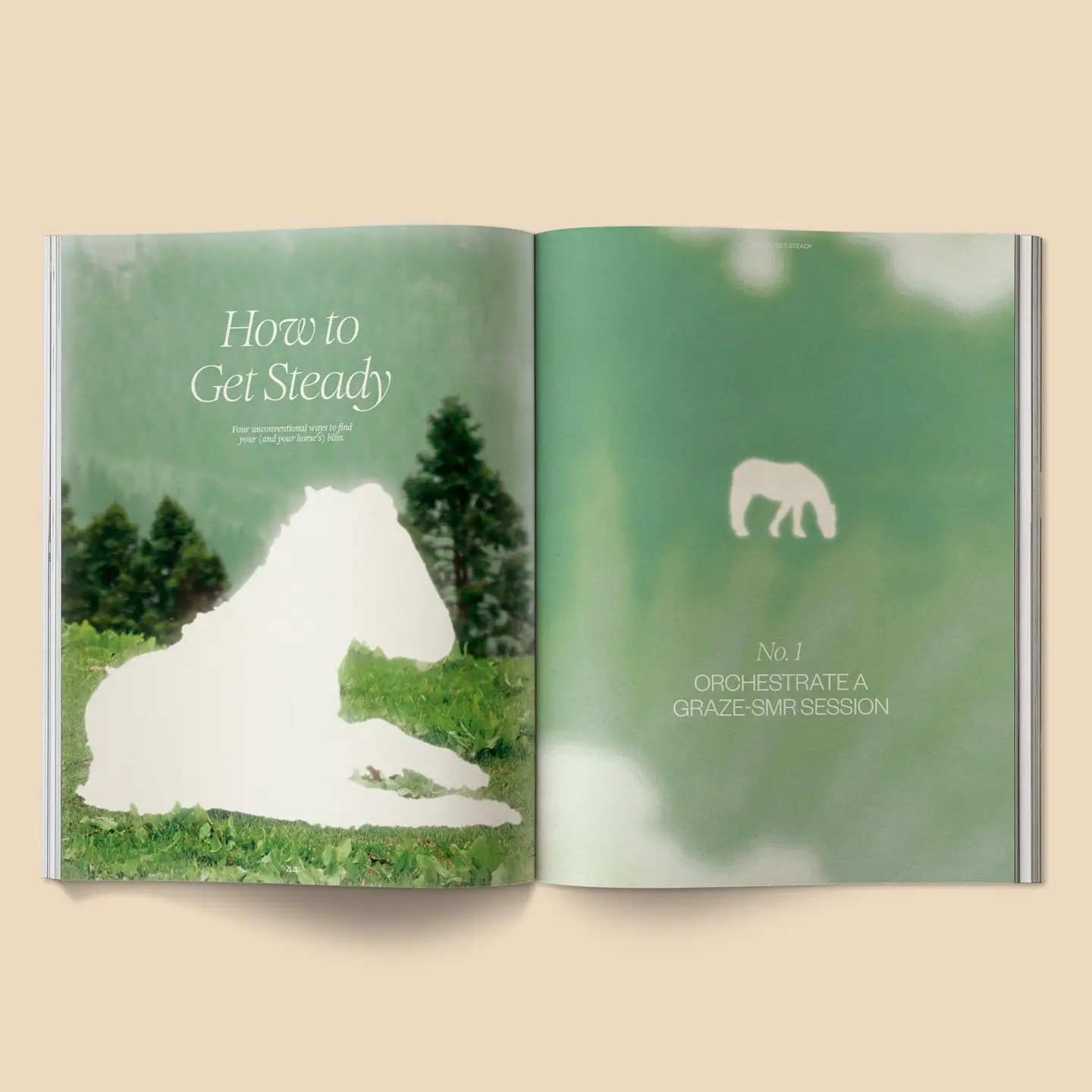 Calling All Horse Girls n.8