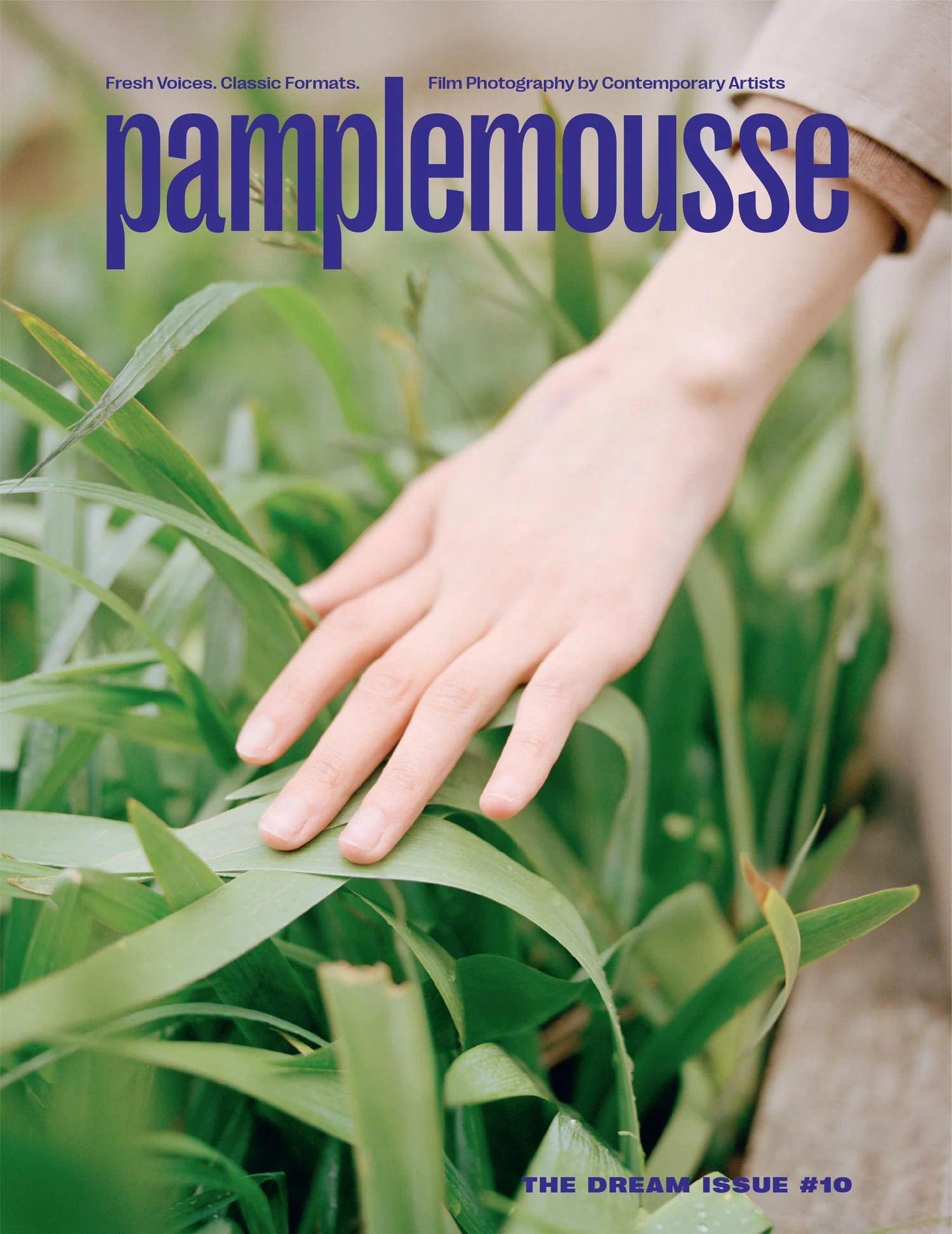 Pamplemousse n.10