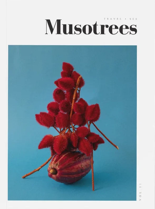 Musotrees n.11