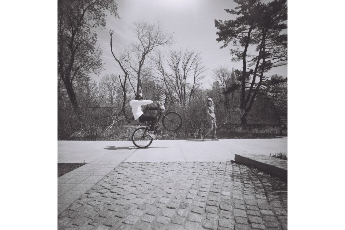 Lady Grey B/N 120 mm ISO 400 - Confezione da 3