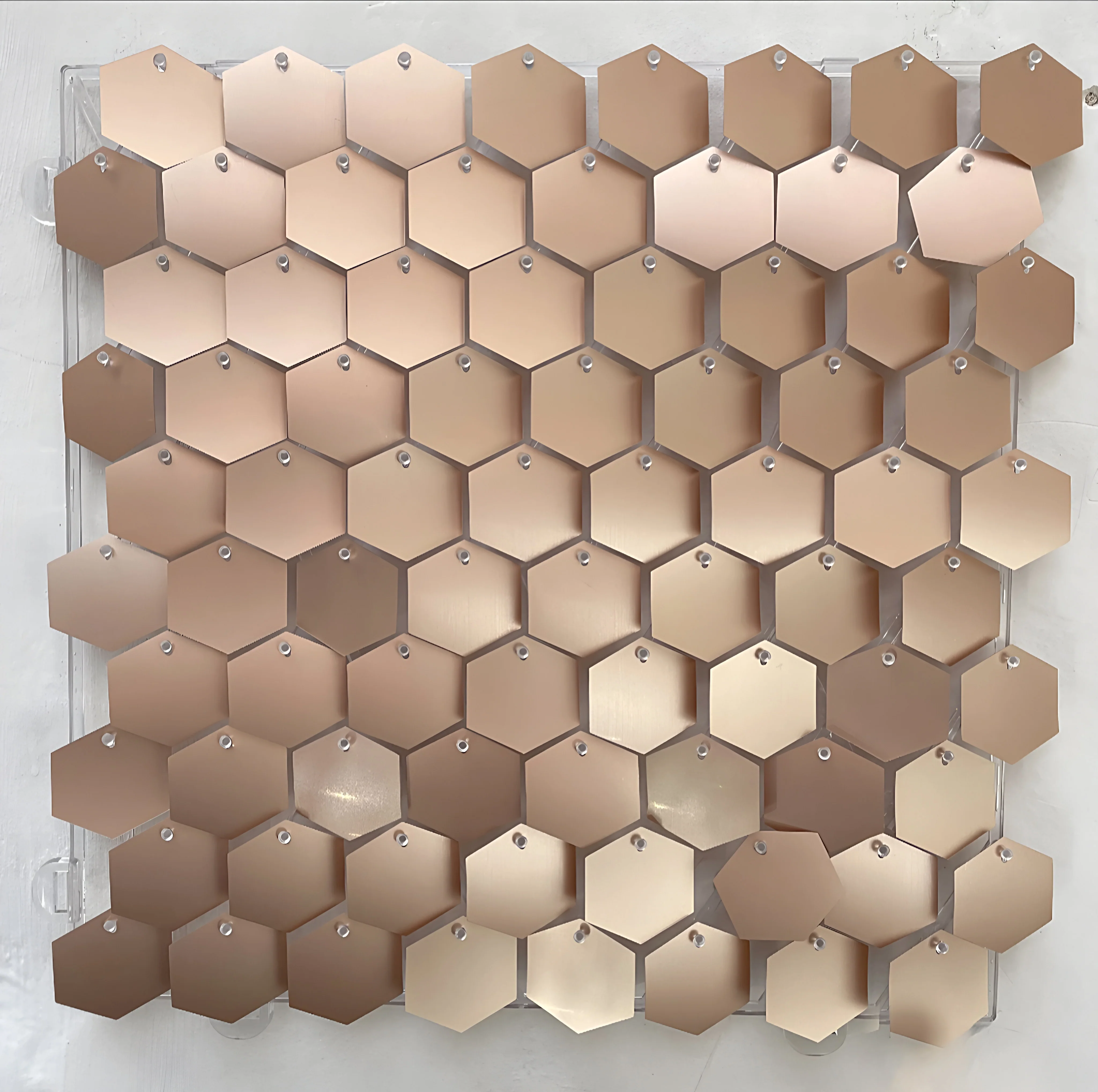 New champagne gold hexagonal sequin wall