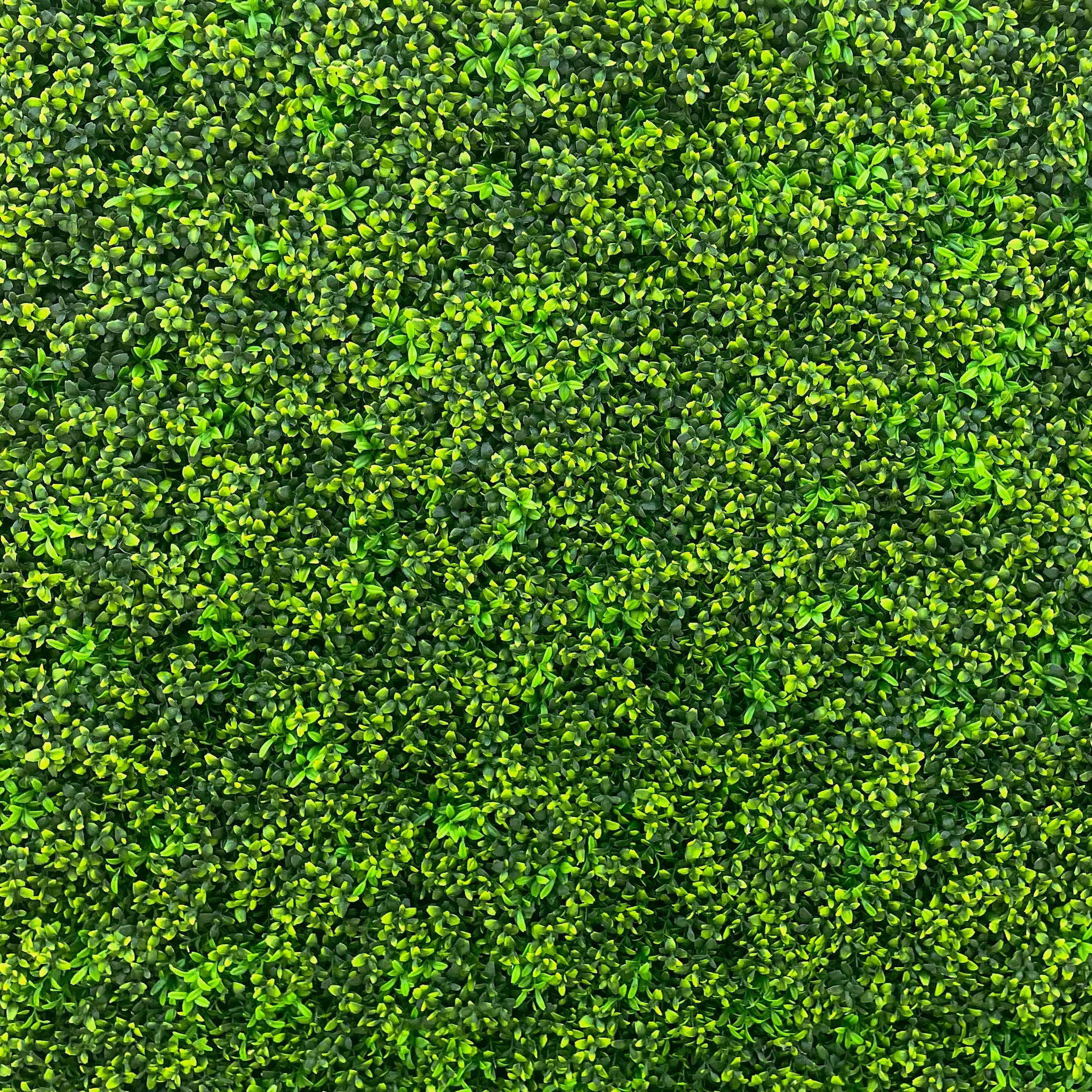 Deluxe foliage wall cloth back