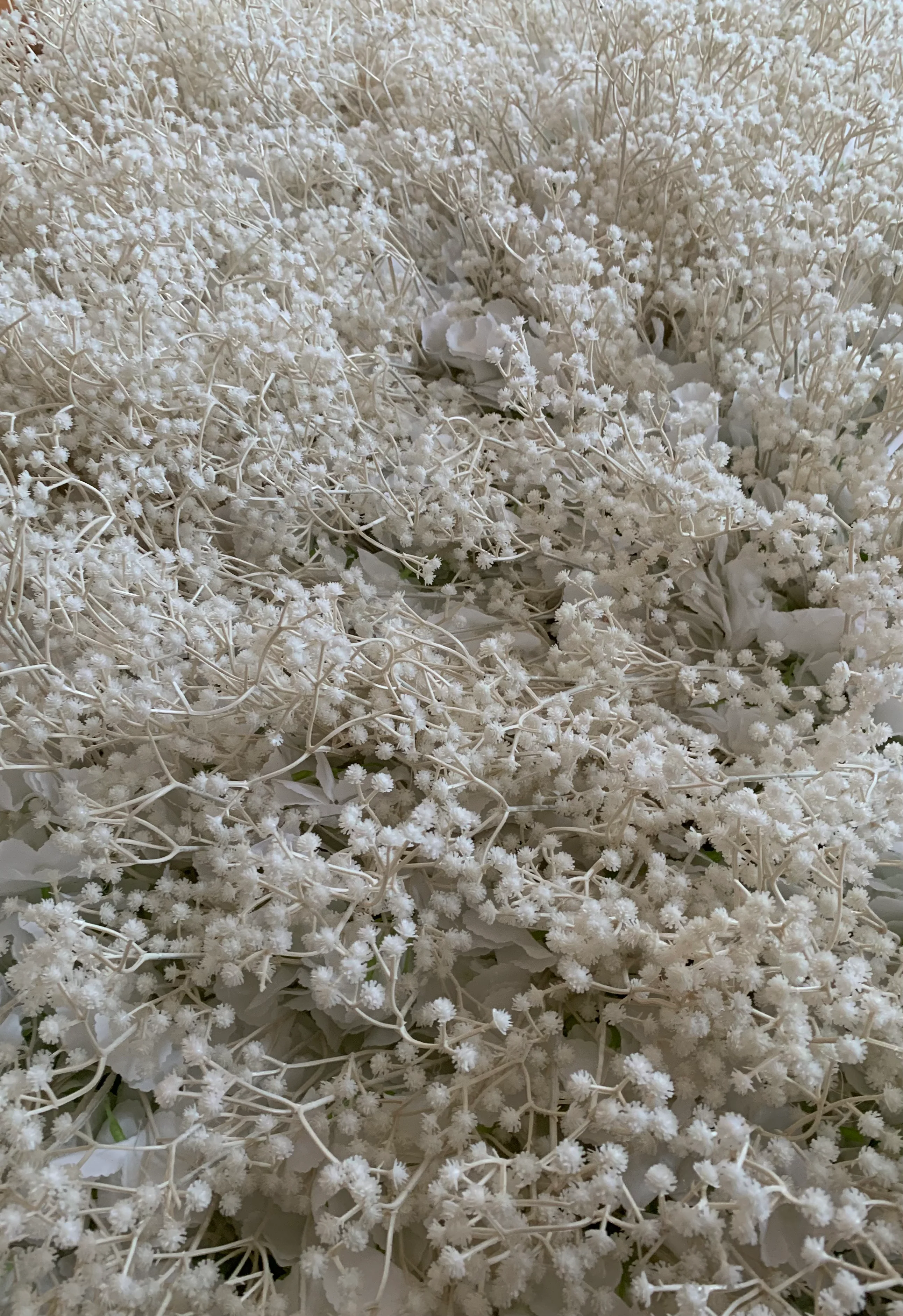 Gypsopehlia flower wall cloth back, choose green or white stems!